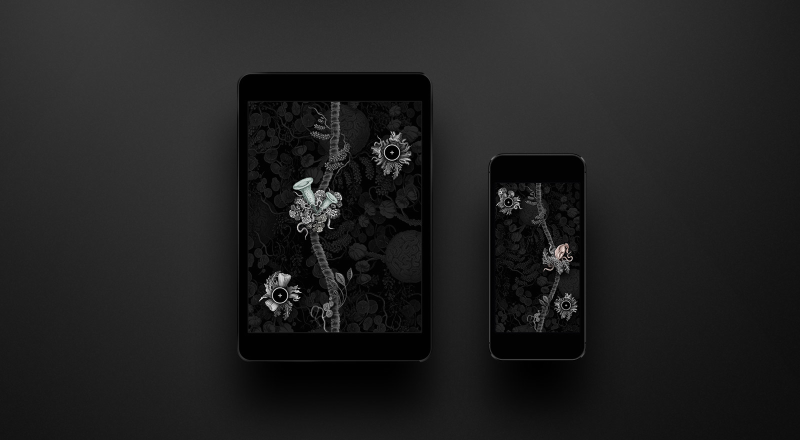 mew-feature-7.jpg