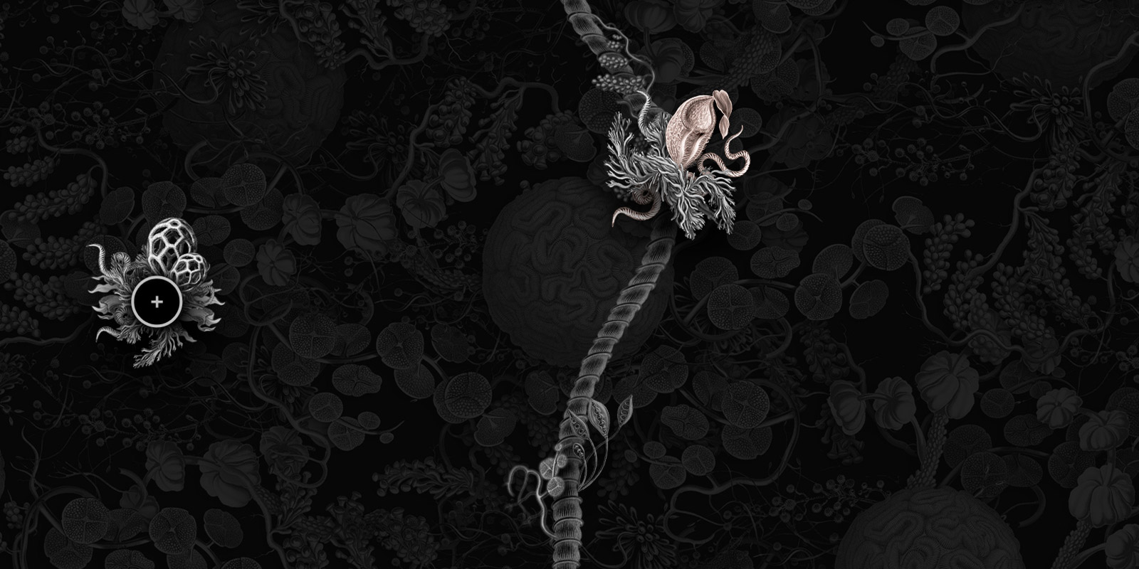 mew-feature-6.jpg