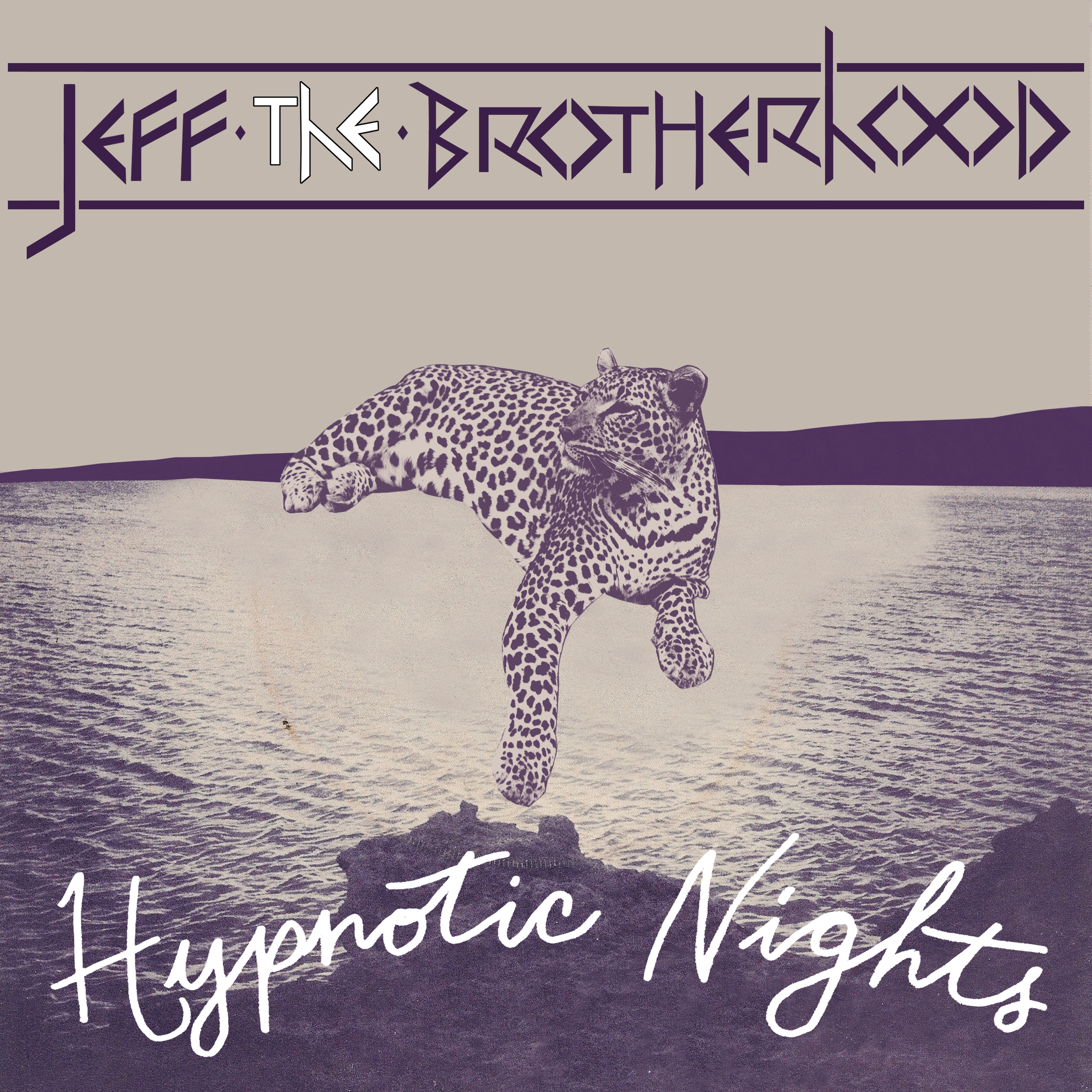 Jeff the Brotherhood - Hypnotic Nights LP