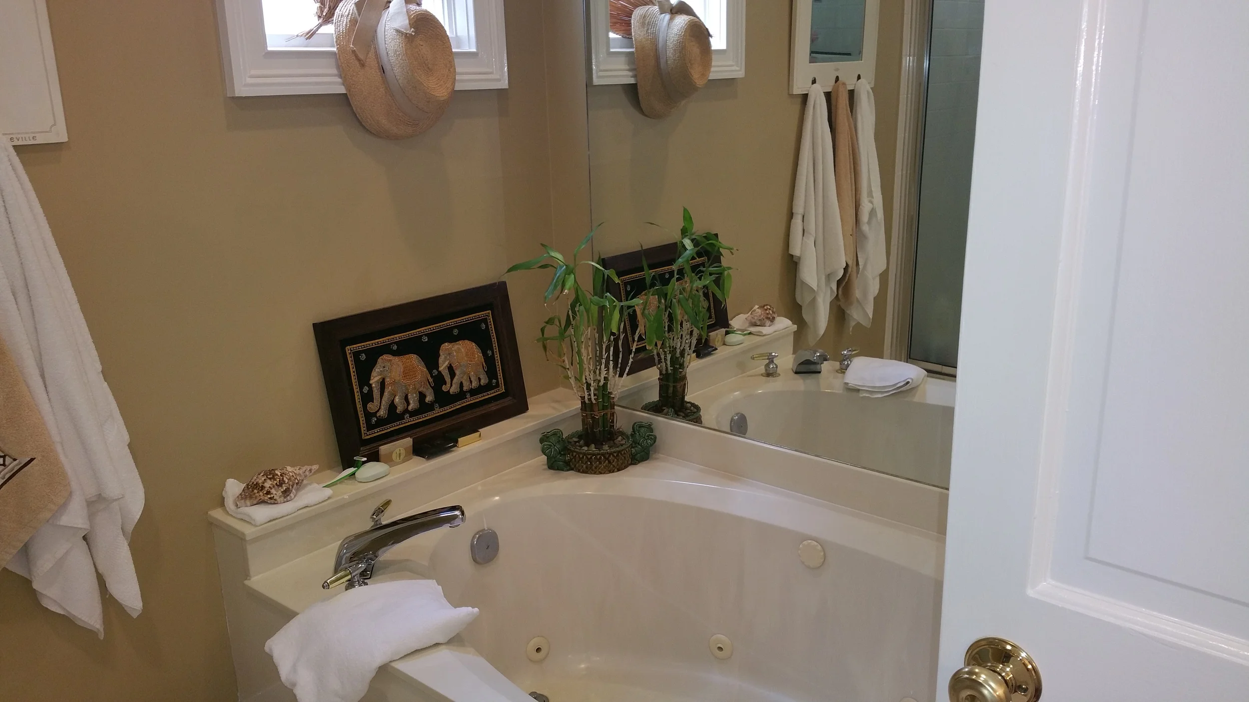 I trusted them in my house