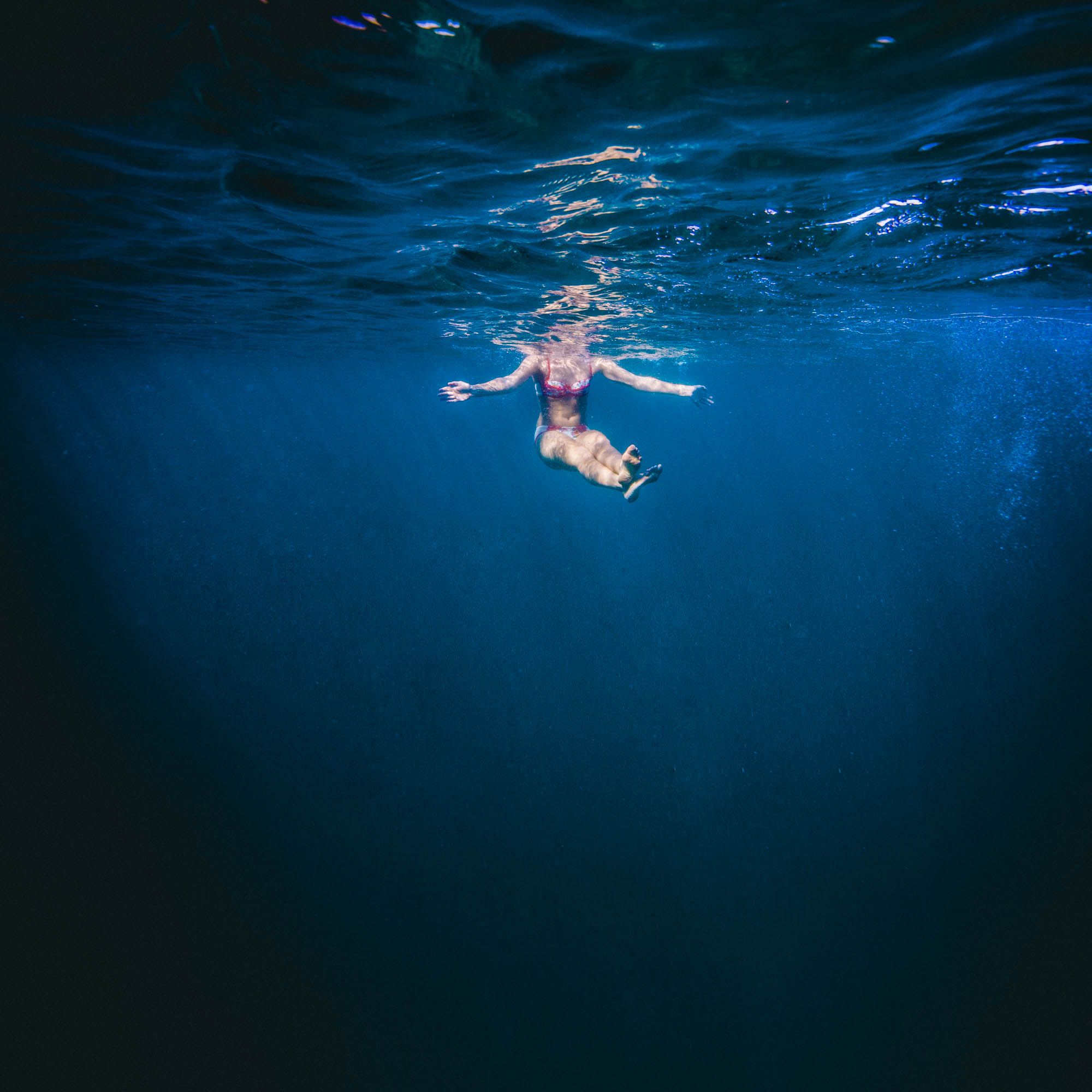 underwater — JANAKA | Australian Underwater Photographer