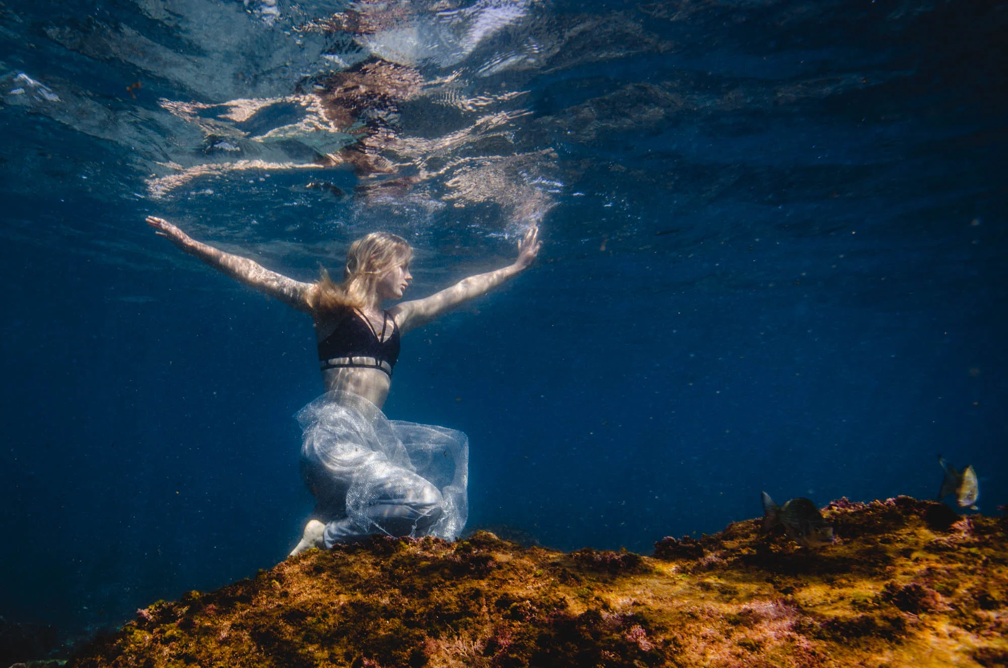 Janaka-Rodrigue-Underwater-Photography-Portfolio-016.jpg