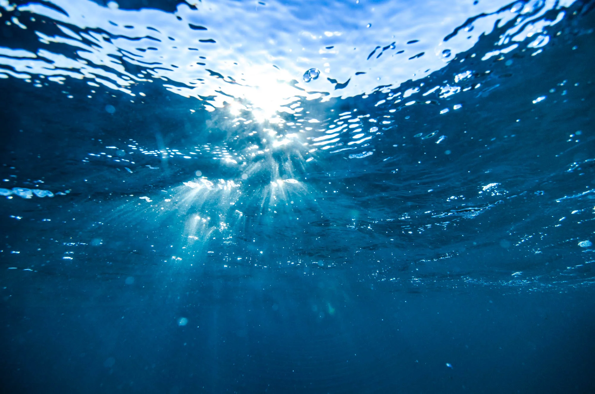 Janaka-Rodrigue-Underwater-Photography-Portfolio-075.jpg