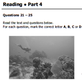 PET 2020 B1 Reading part 4 (explicación y trucos)