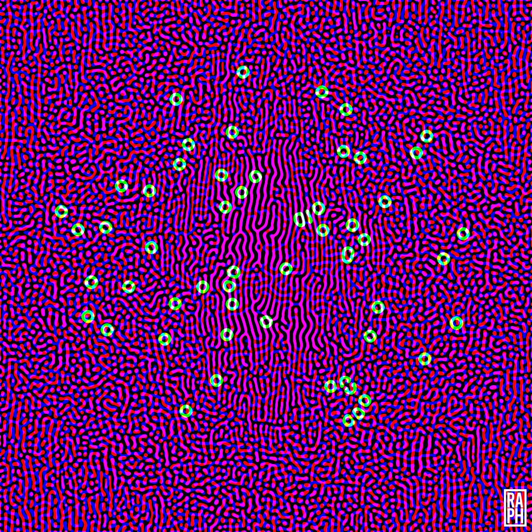 ReactionDiffusionC2.png