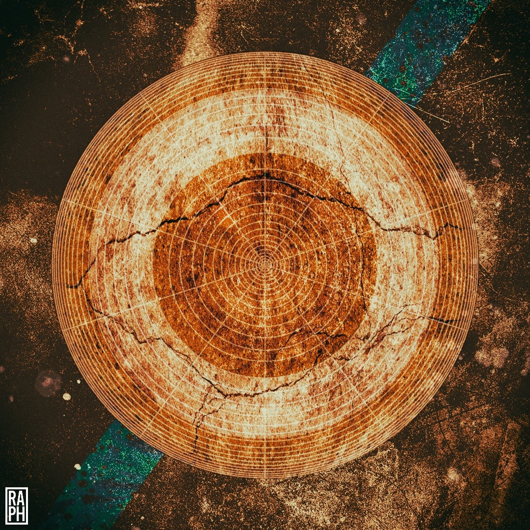 Analog 5
