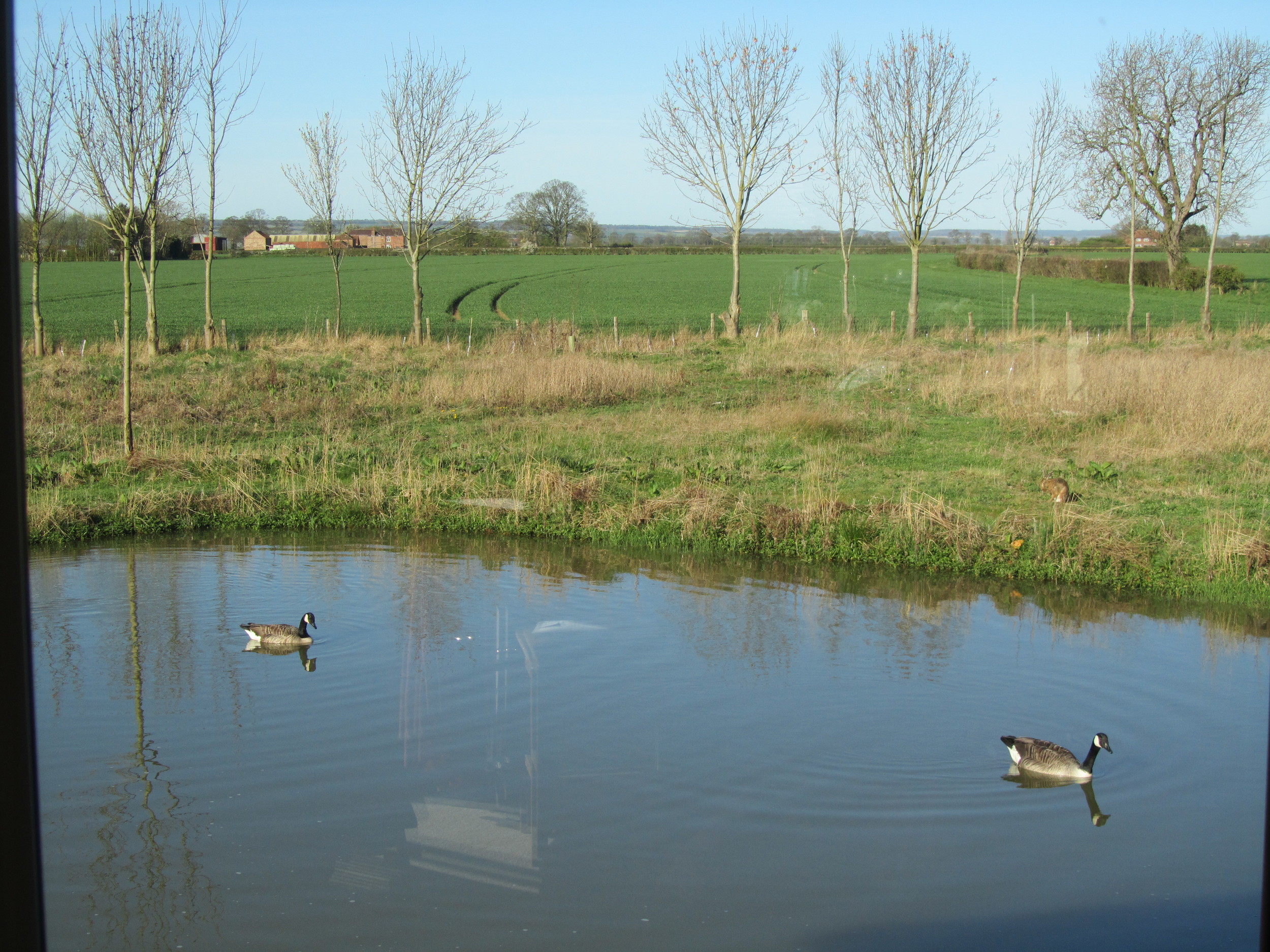 Pond 1