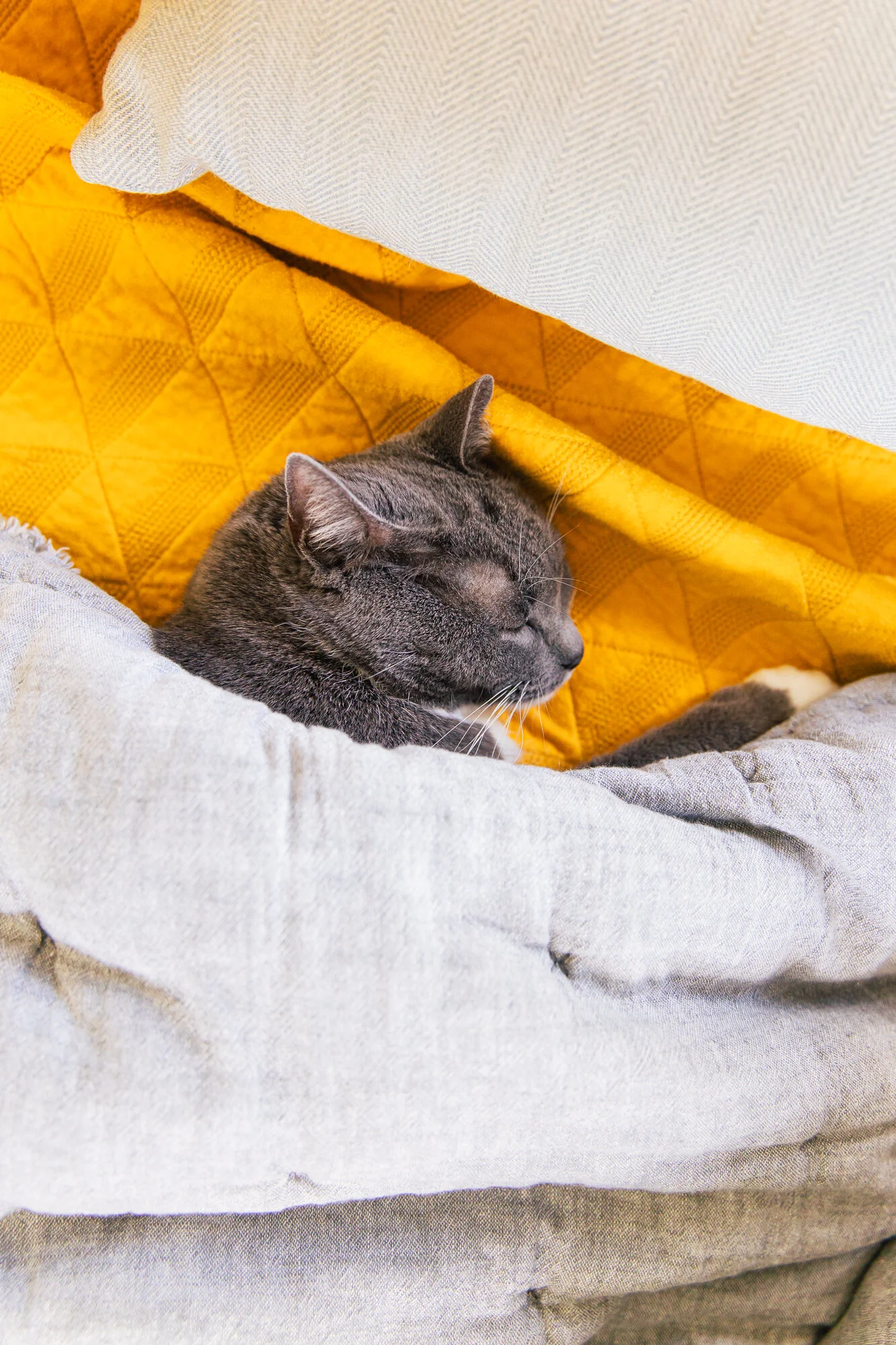 WEATHERBEE-GUS-2.jpg