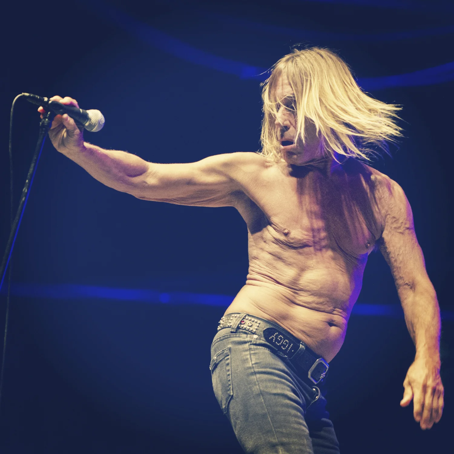Iggy Pop - Vienna, AUT 2013