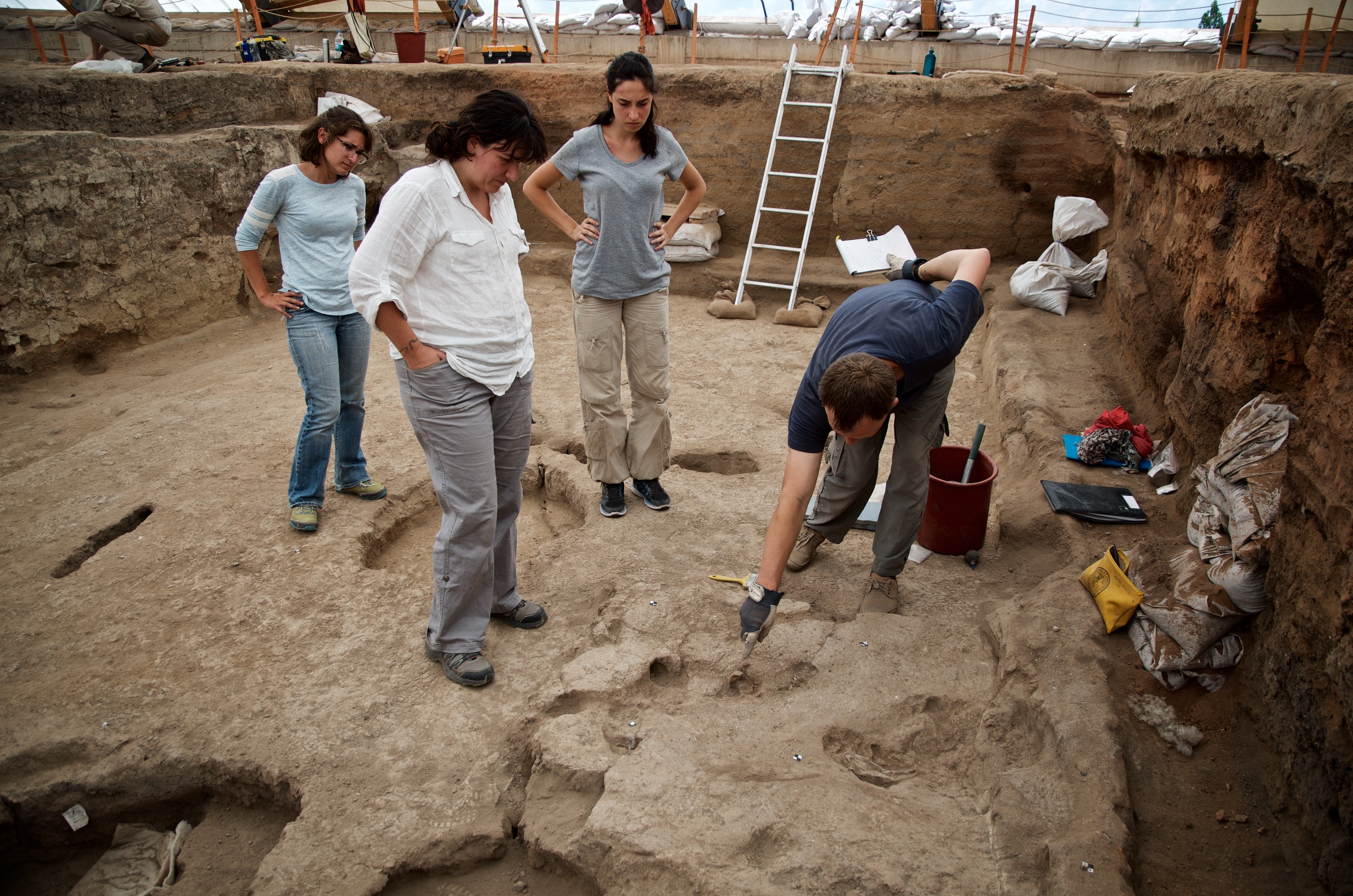 Excavating Last Traces of Building 77