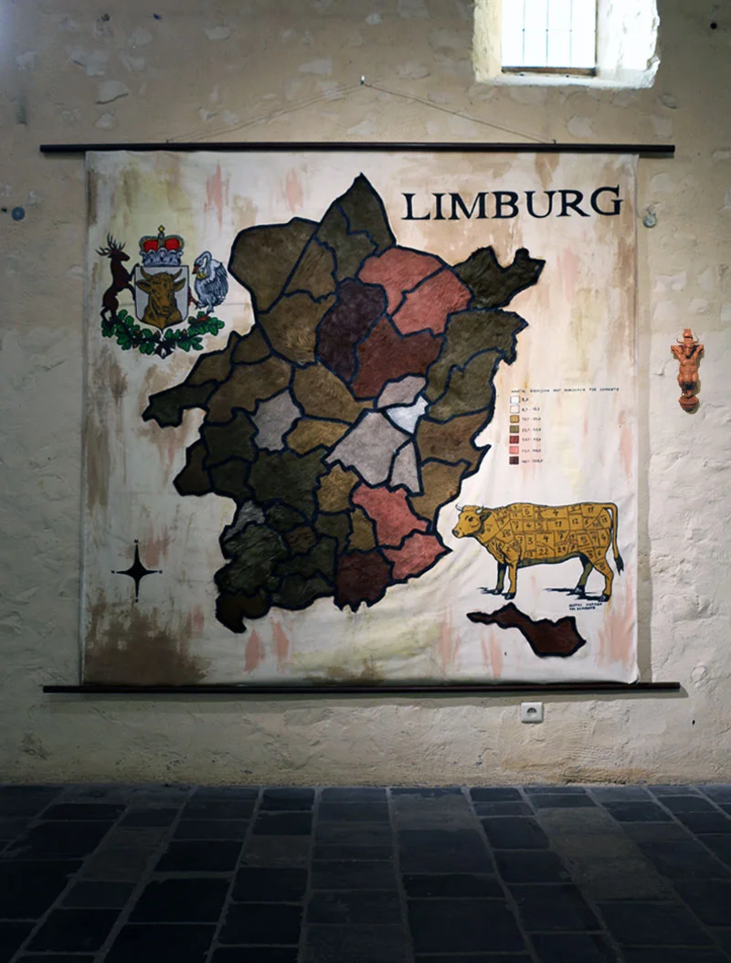 Map Limburg 2017 Wood, acrylic paint, cow skin, canvas. 200 x 200 cm © Tom Herck