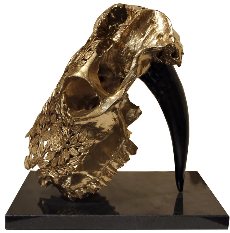 STILETTO / 2018 Stiletto brings a new element to Herck’s cow symbolism as known from the exhibitions Holy Cow Project and Missing: gilded and bronze cow skulls. A tribute to the highly respected creature, treated by many cultures as a source of life, cow skulls were hung on walls and brought to sacred ceremonies. The Aztecs excelled in skull and bone design. Although it’s carved in our minds when we see a skull it… Read more