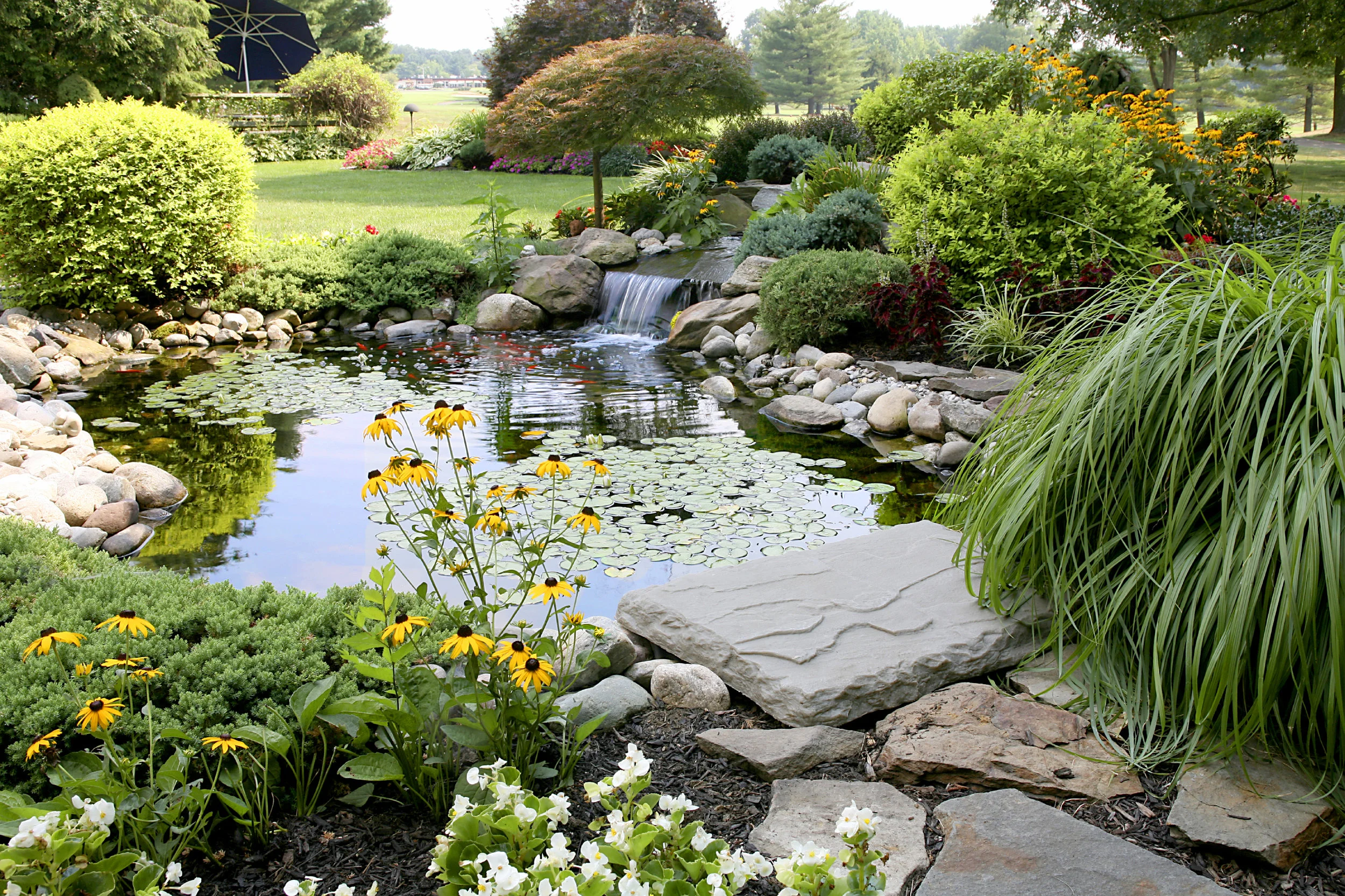 london-ontario-landscaper-pool-pond-design-garden-company-hunter-home-garden-04.jpg