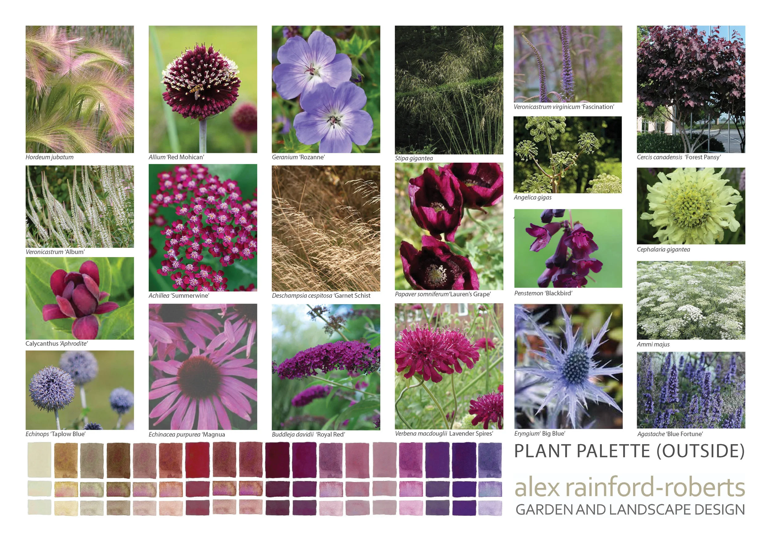 Show Gardens — Alex Rainford-Roberts