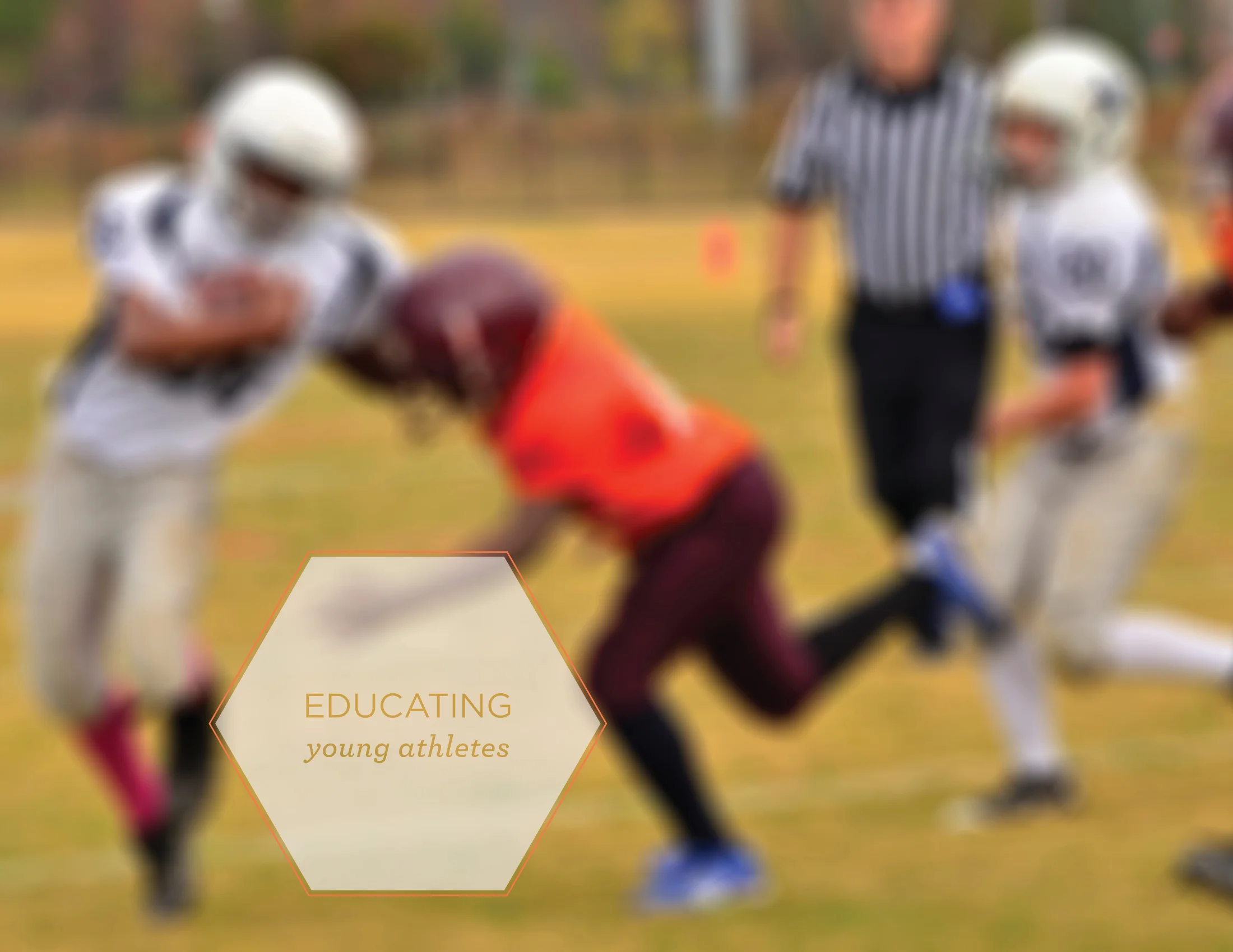 Light Ice Web ready34.jpg