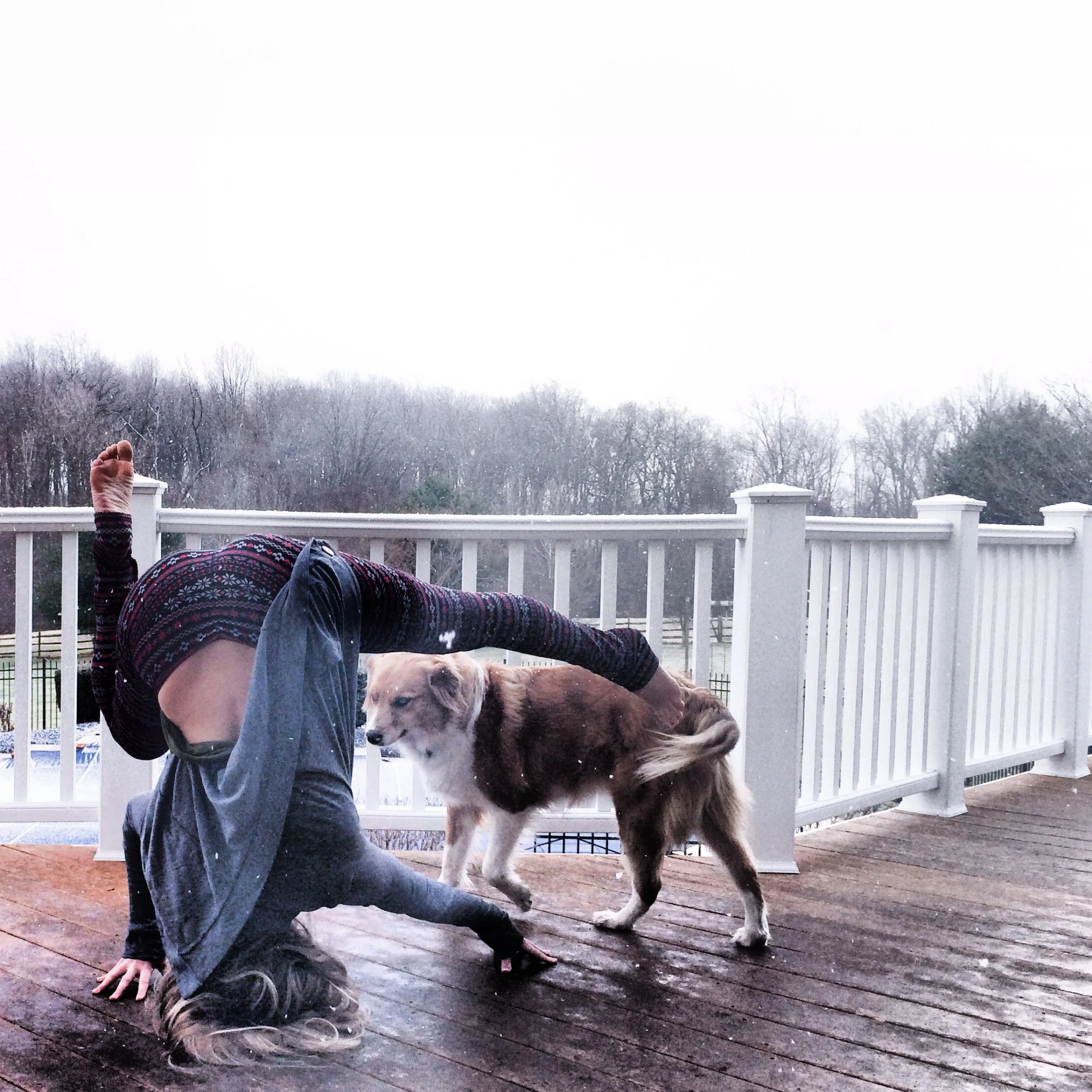 pipheadstand.jpg