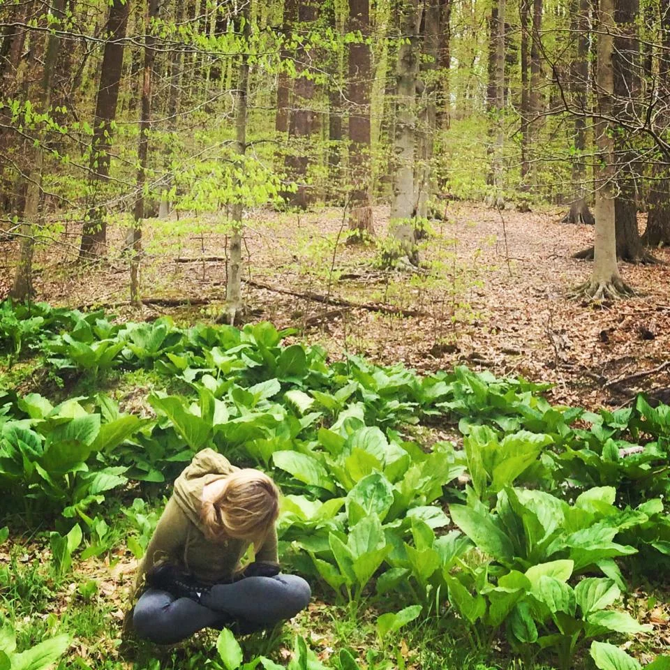 Cabbage Patch Doll or uprooting yogi?