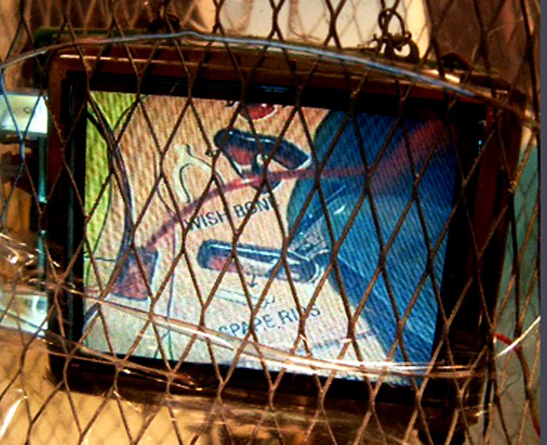 visiblewoman_videoclose-up.jpg