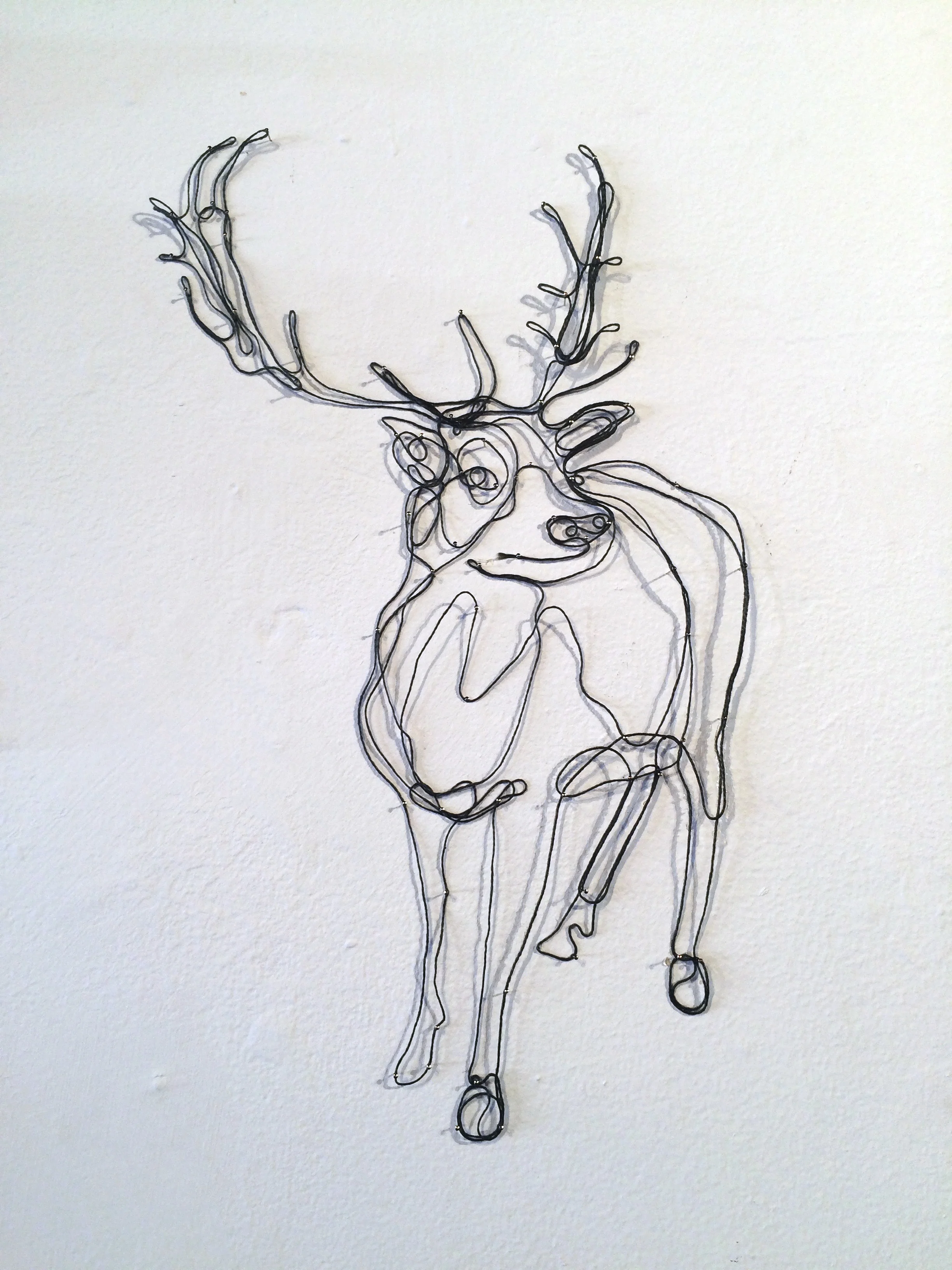 ecologies_reindeer.jpg