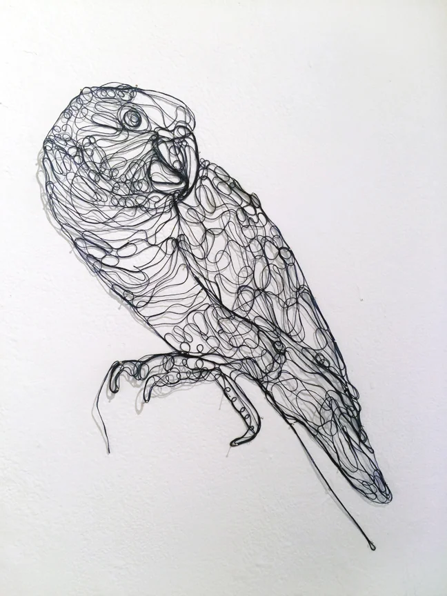 parrot_unraveling ecologies.jpg