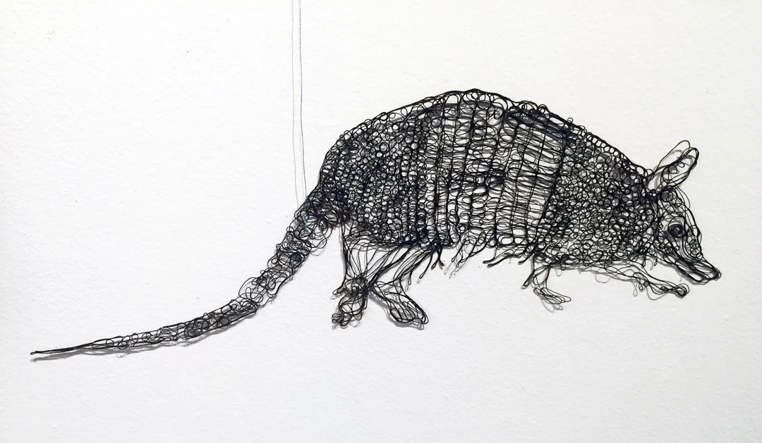 unrvelriver_web_armadillo.jpg