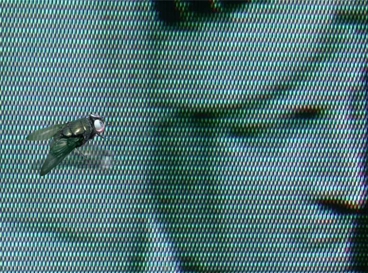LIBERTY ROTTING PRIME TIME - FROM THE SERIES "IN THE GRIPS OF TERROR", DIGITAL PHOTOGRAPHY