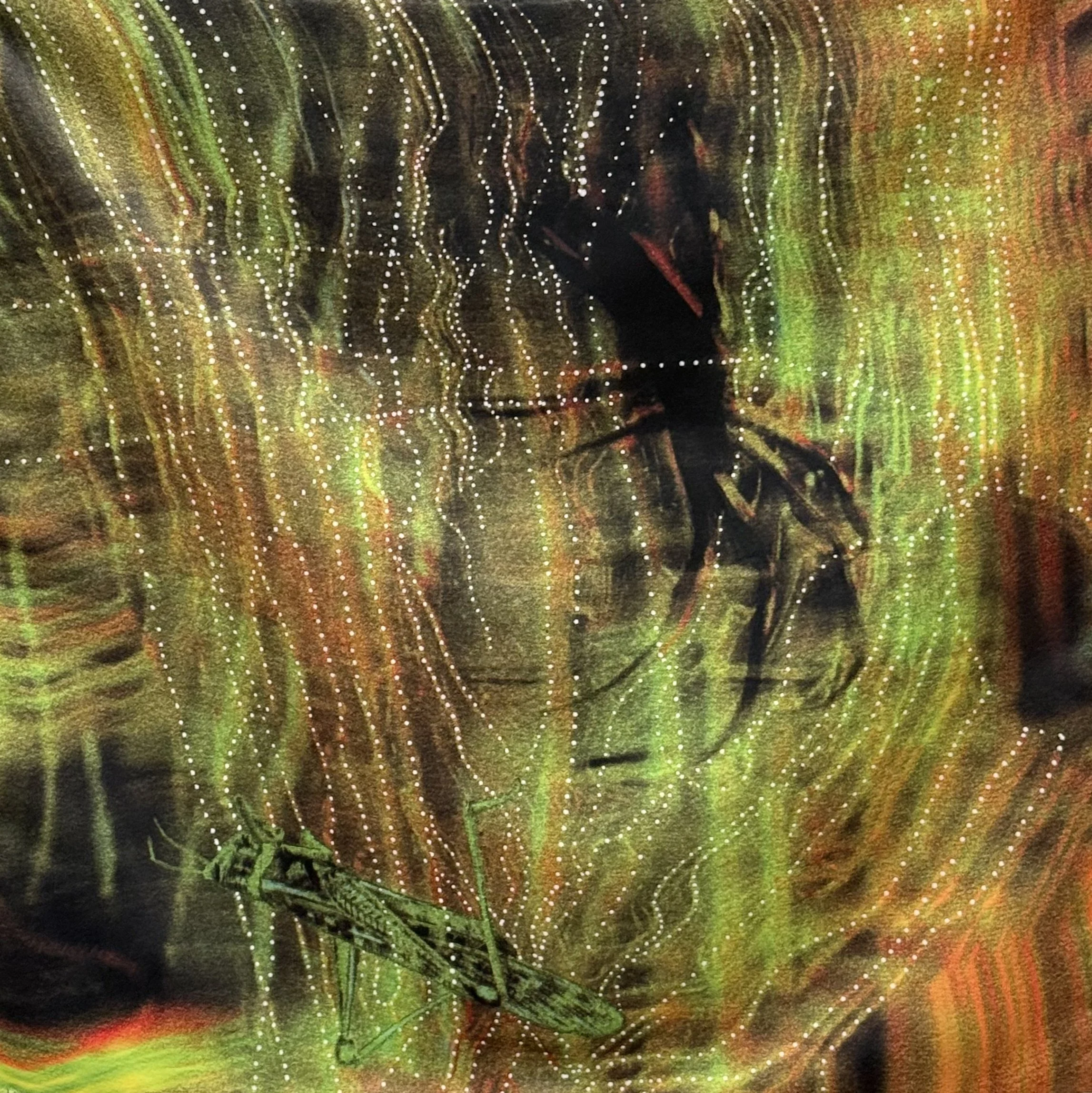 Spider_greenorange_detail.jpg