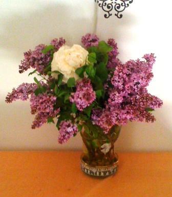 helen lilacs.jpg