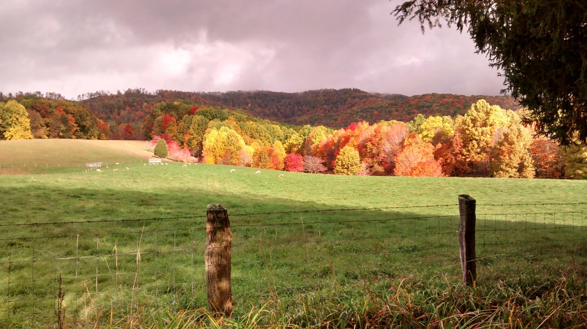 Mountain Meadows in the Fall