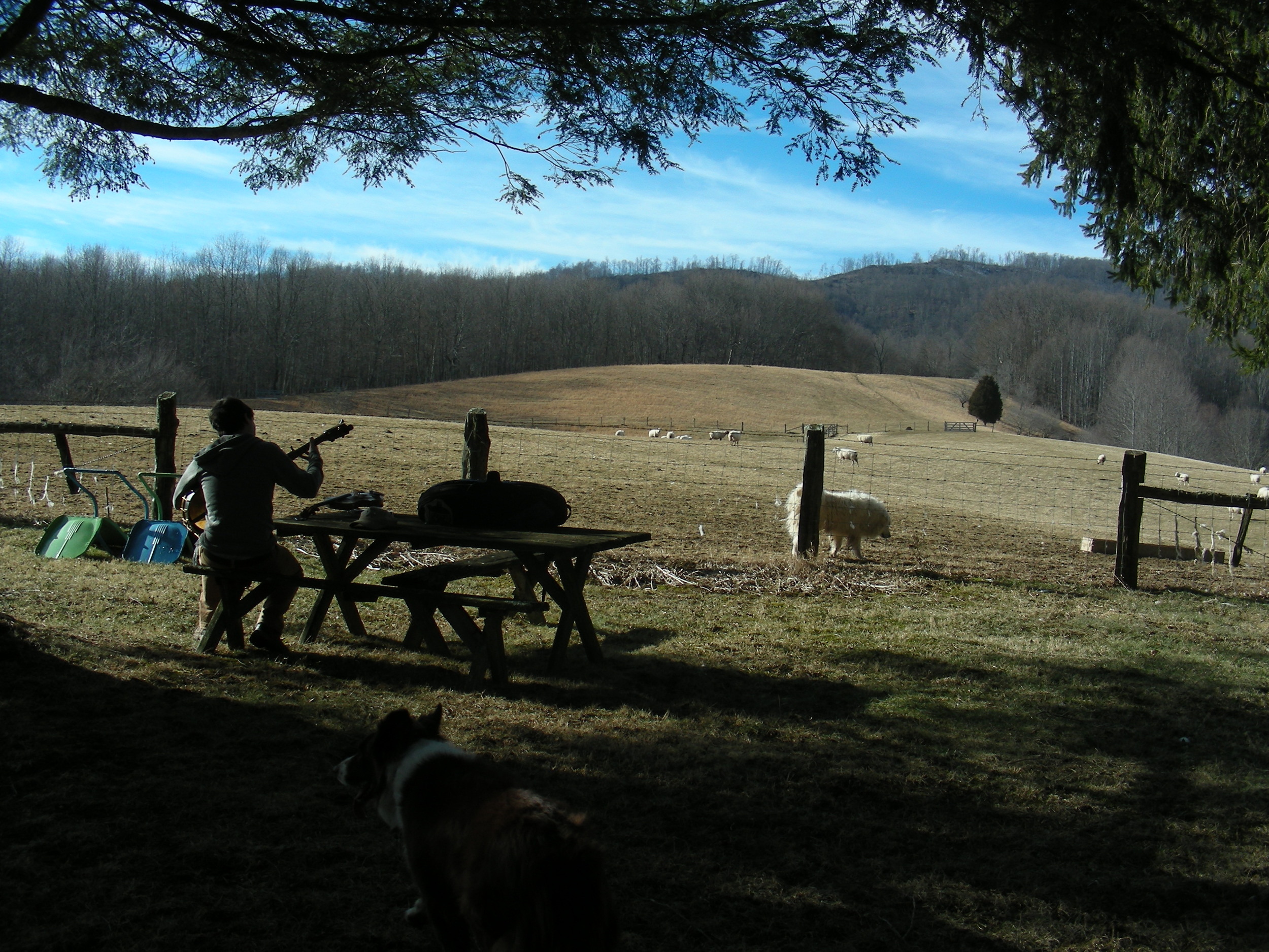 Playing music by the hayfield