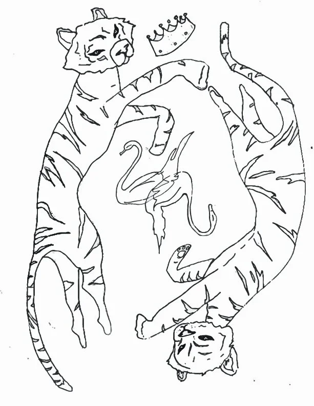 tiger+king+color+book.jpg