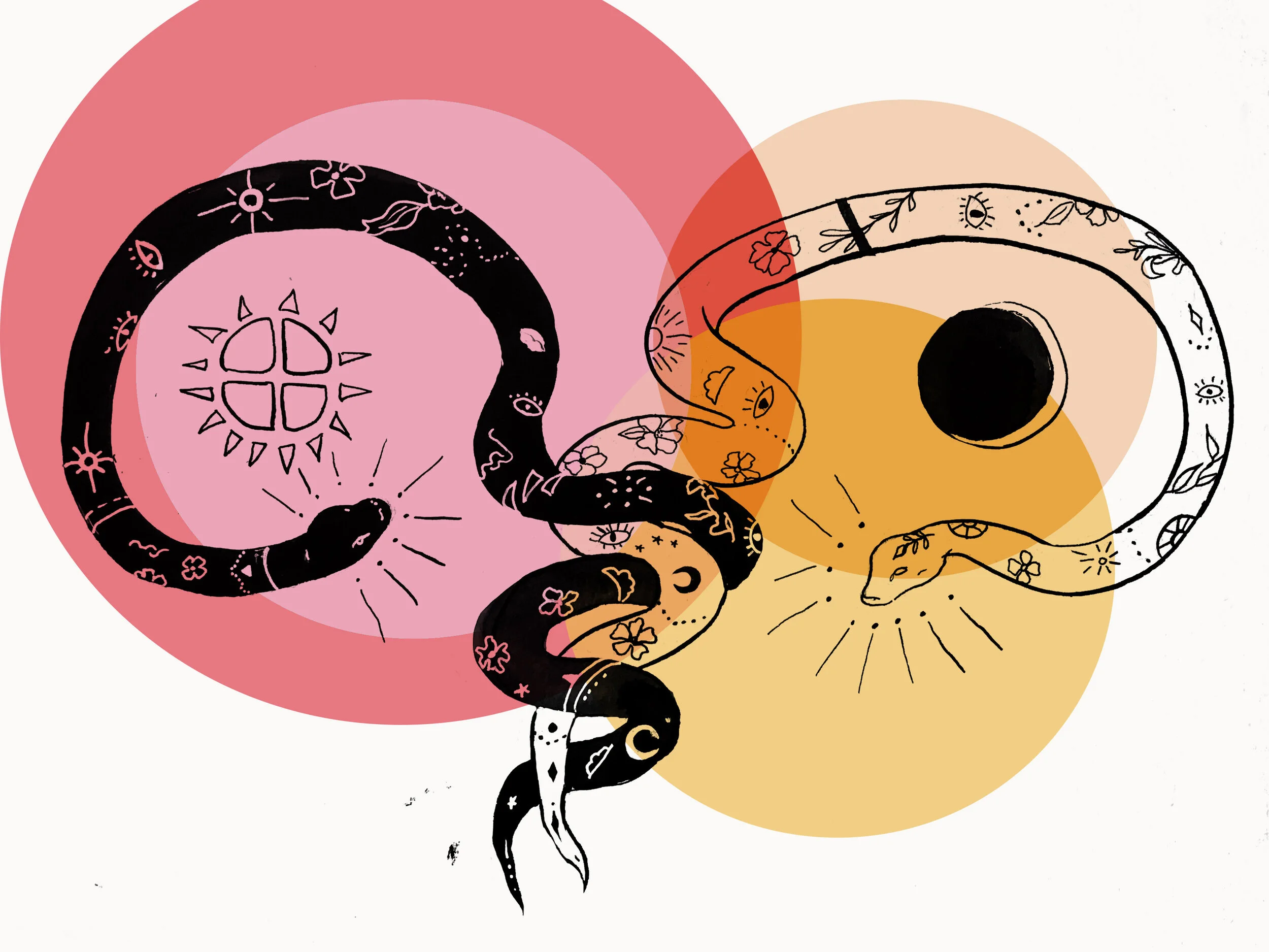 snakes ovaries.jpg