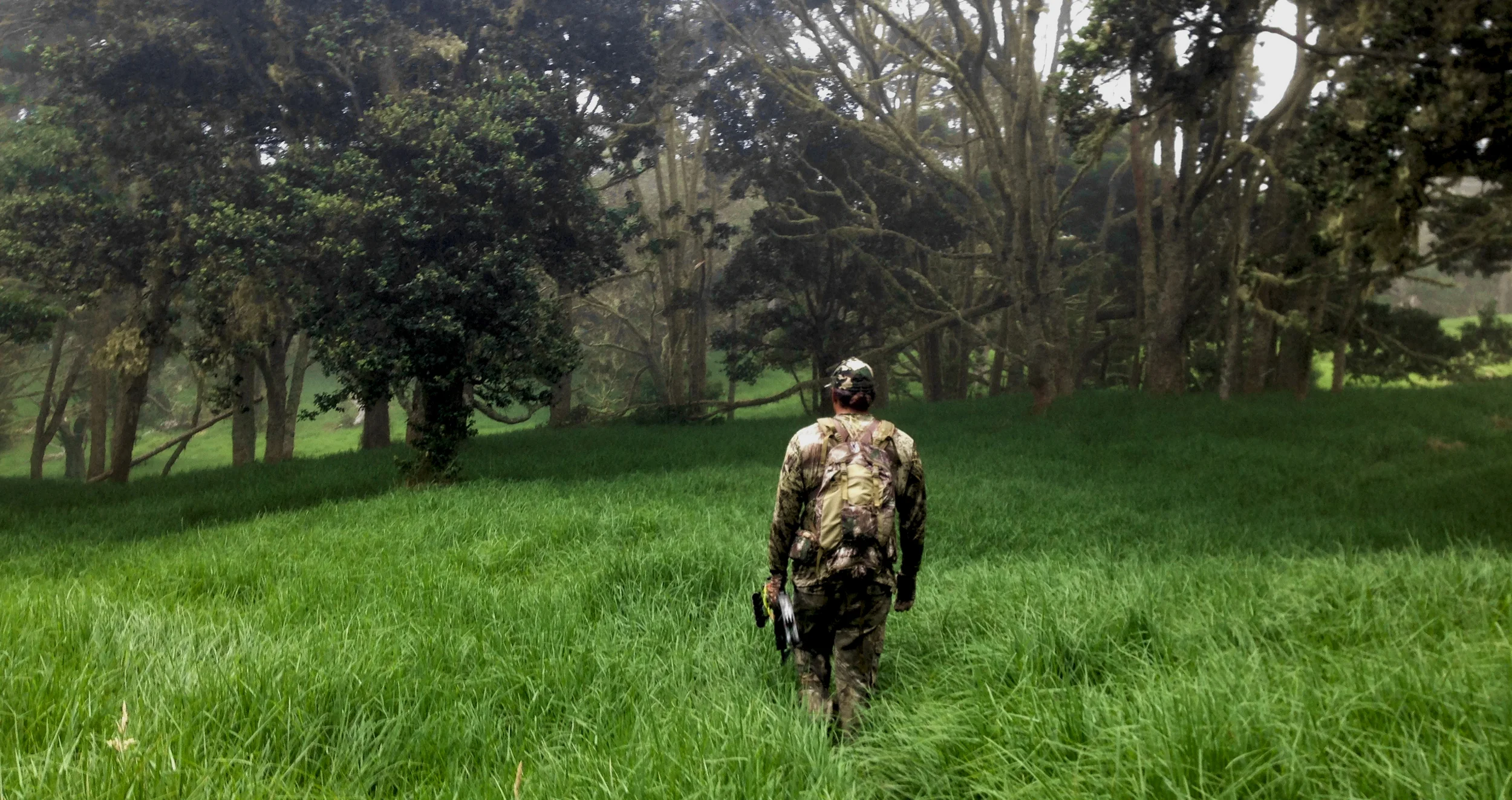 Do Hawaii’s gun-control laws restrict my ability to pass my firearms to my children when I die?