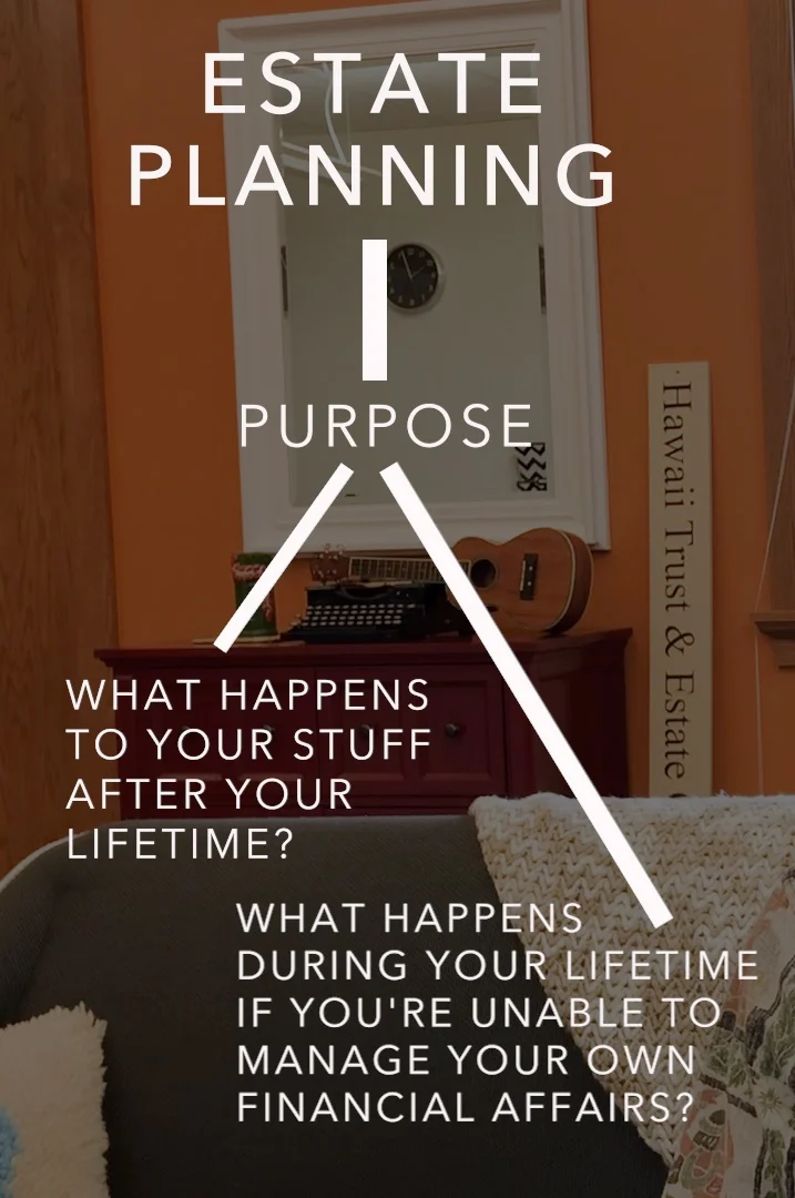Estate planning Purpose video clip.jpg