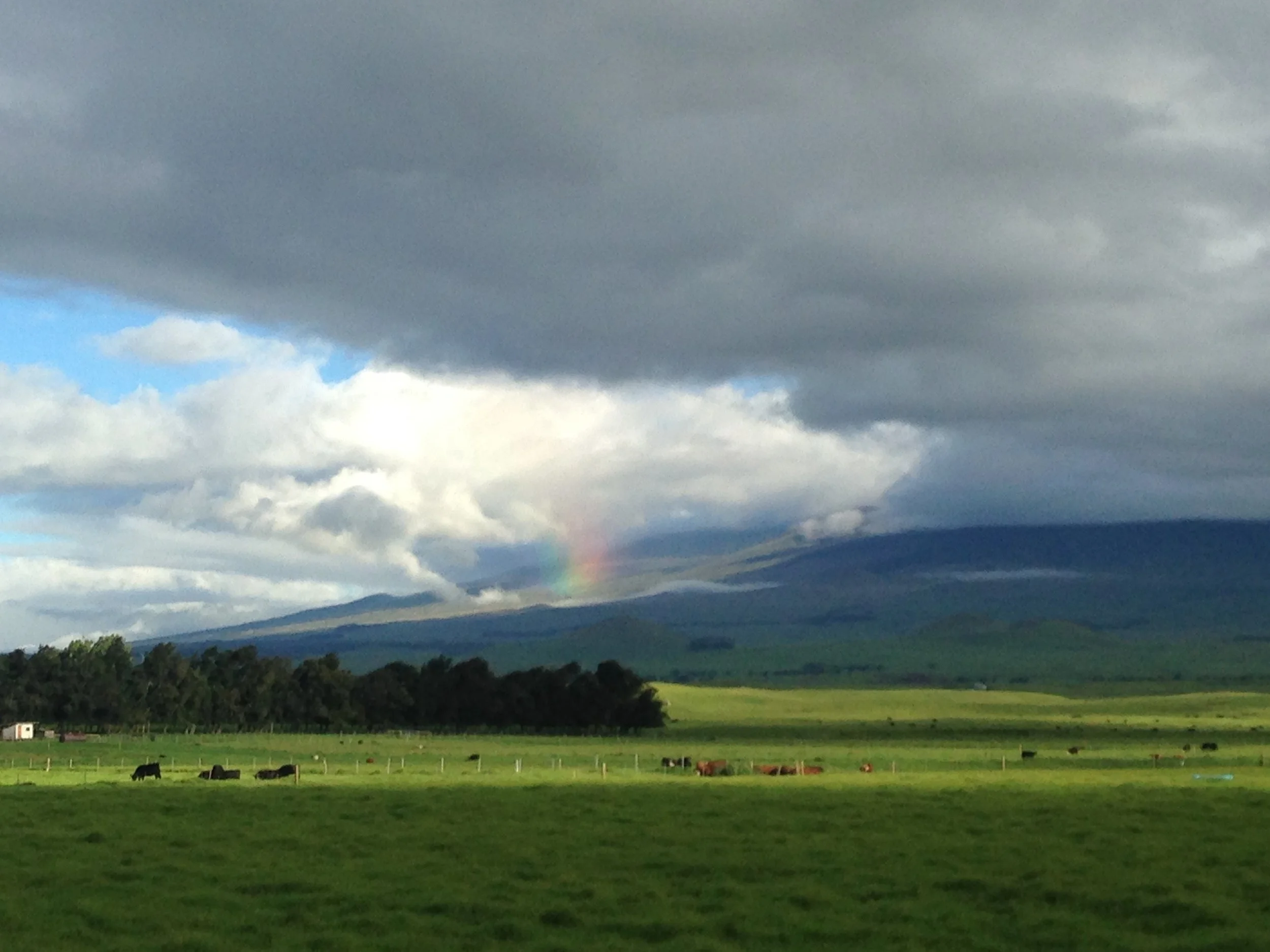 Basic Estate Planning in Waimea