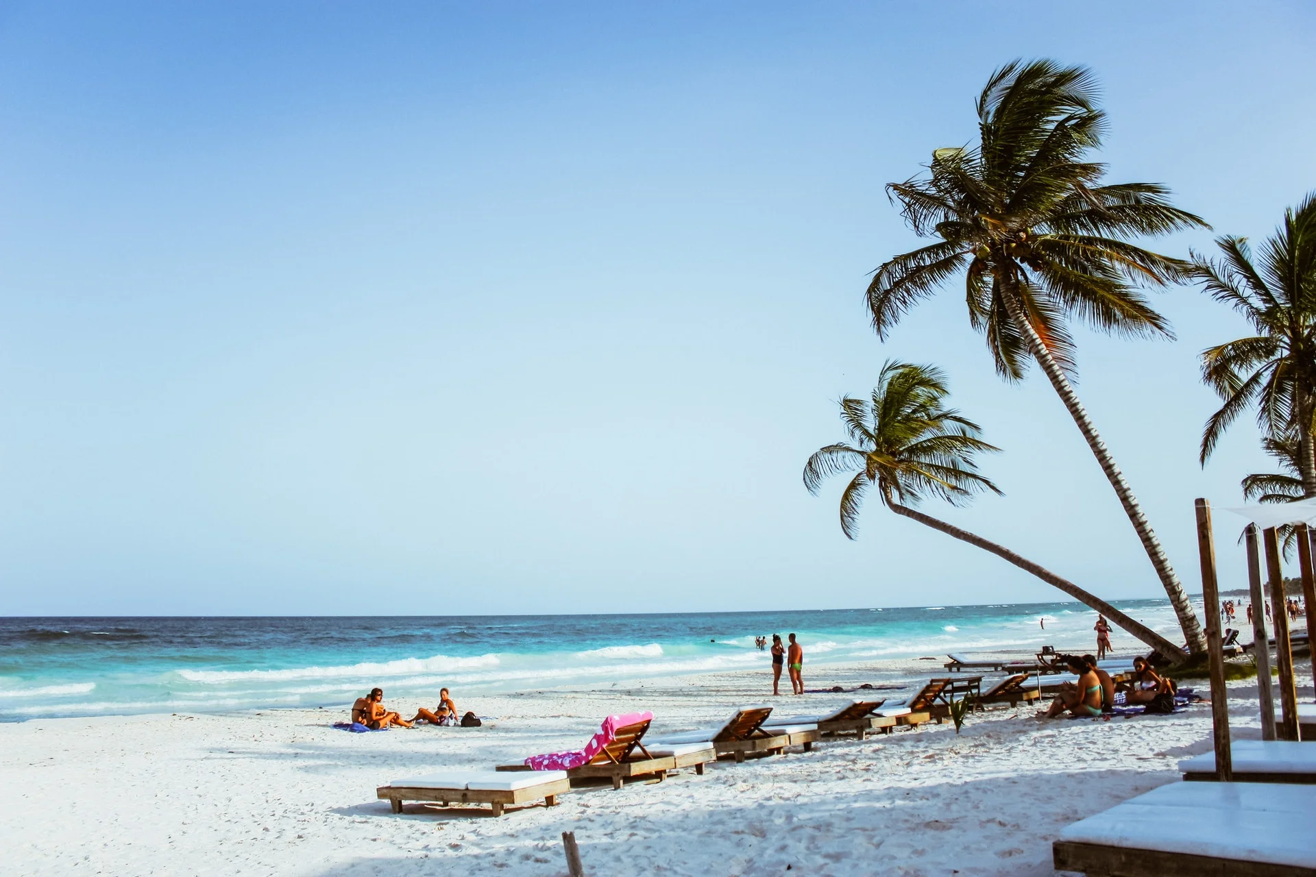 tropical beach.jpeg