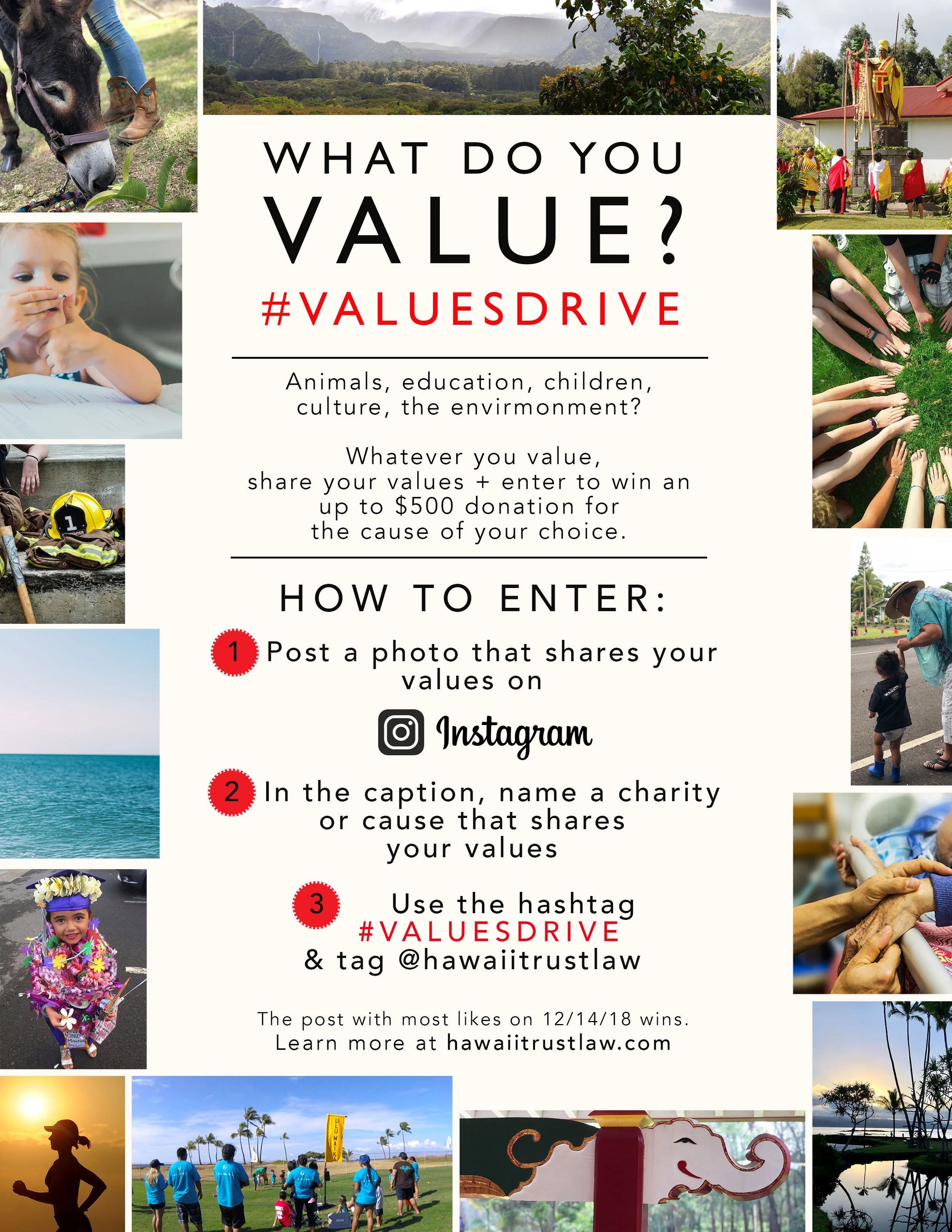 Hawaii trust and Estate Counsel Values Drive 2018.jpg