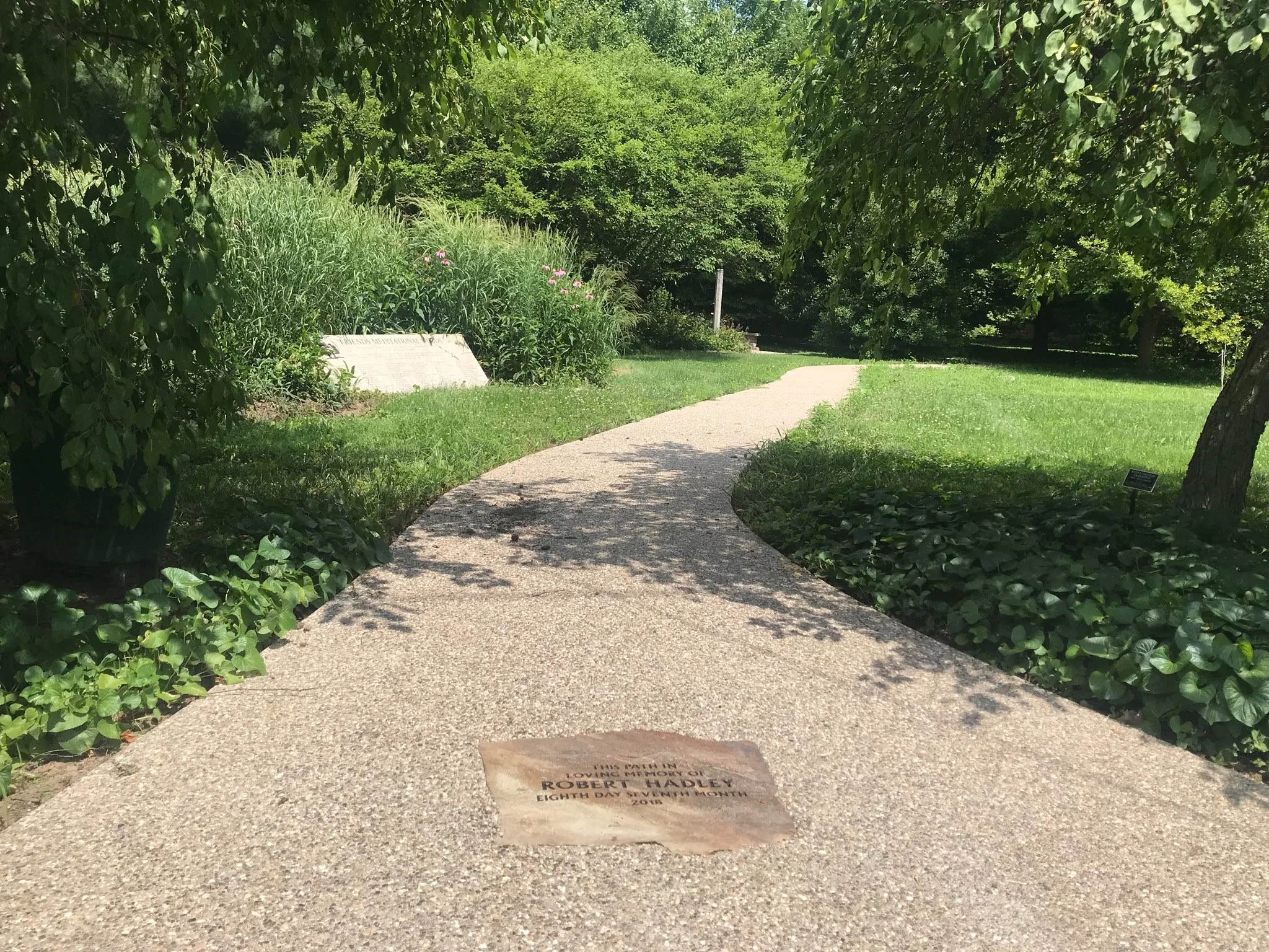 path.jpg