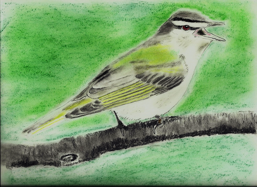 bird.png