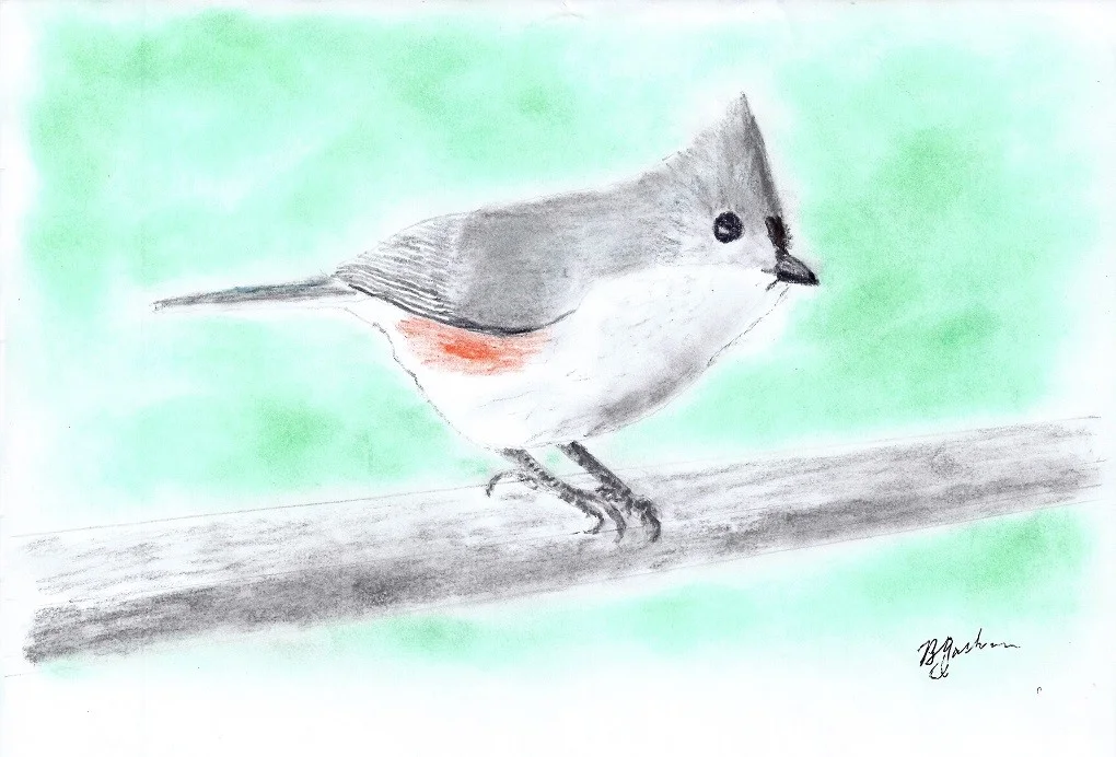birb.jpg
