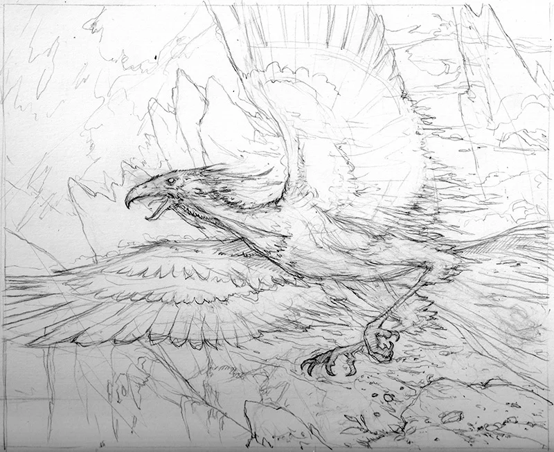 rough sketch