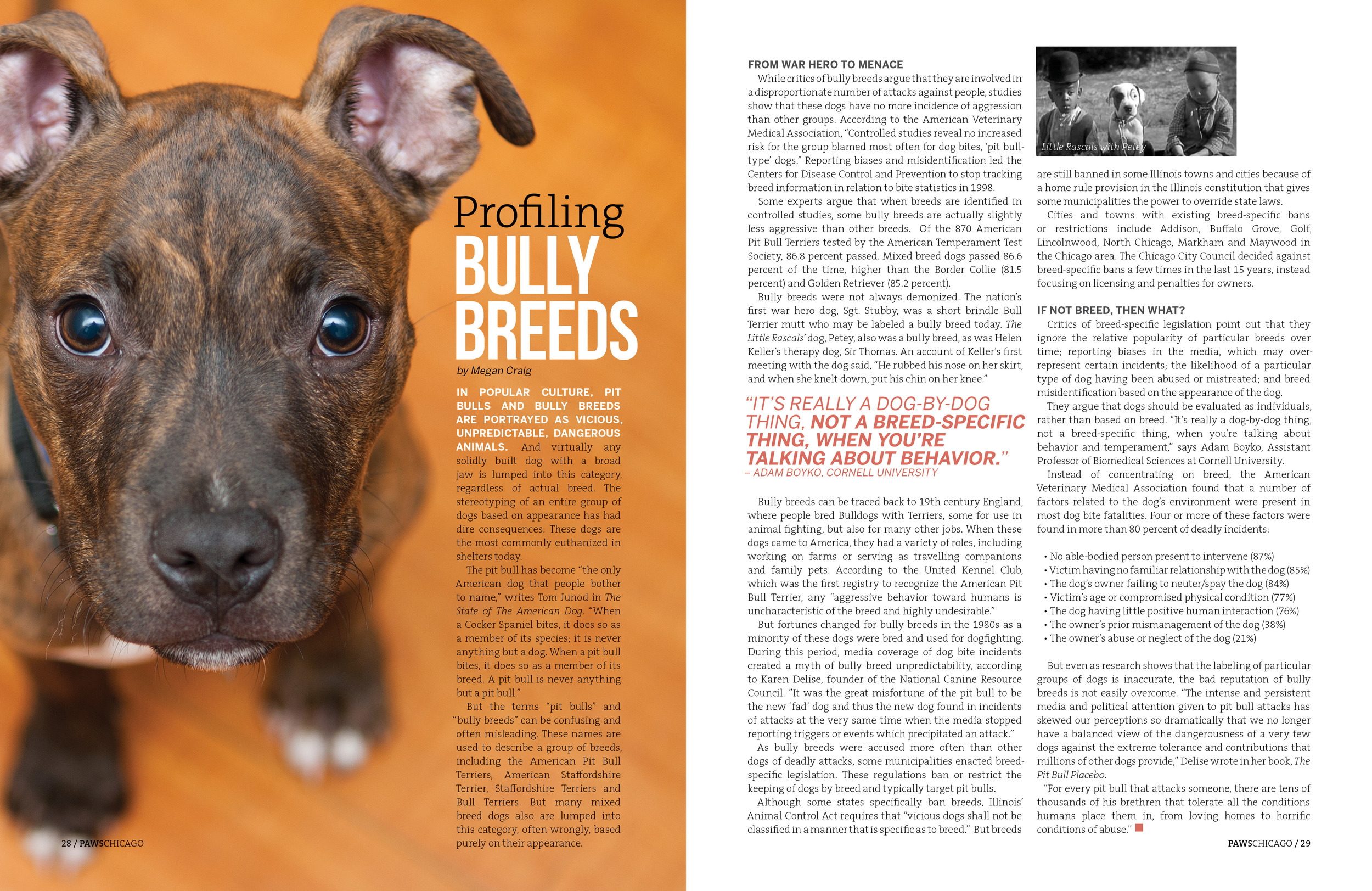 PAWS_Winter 201616.jpg