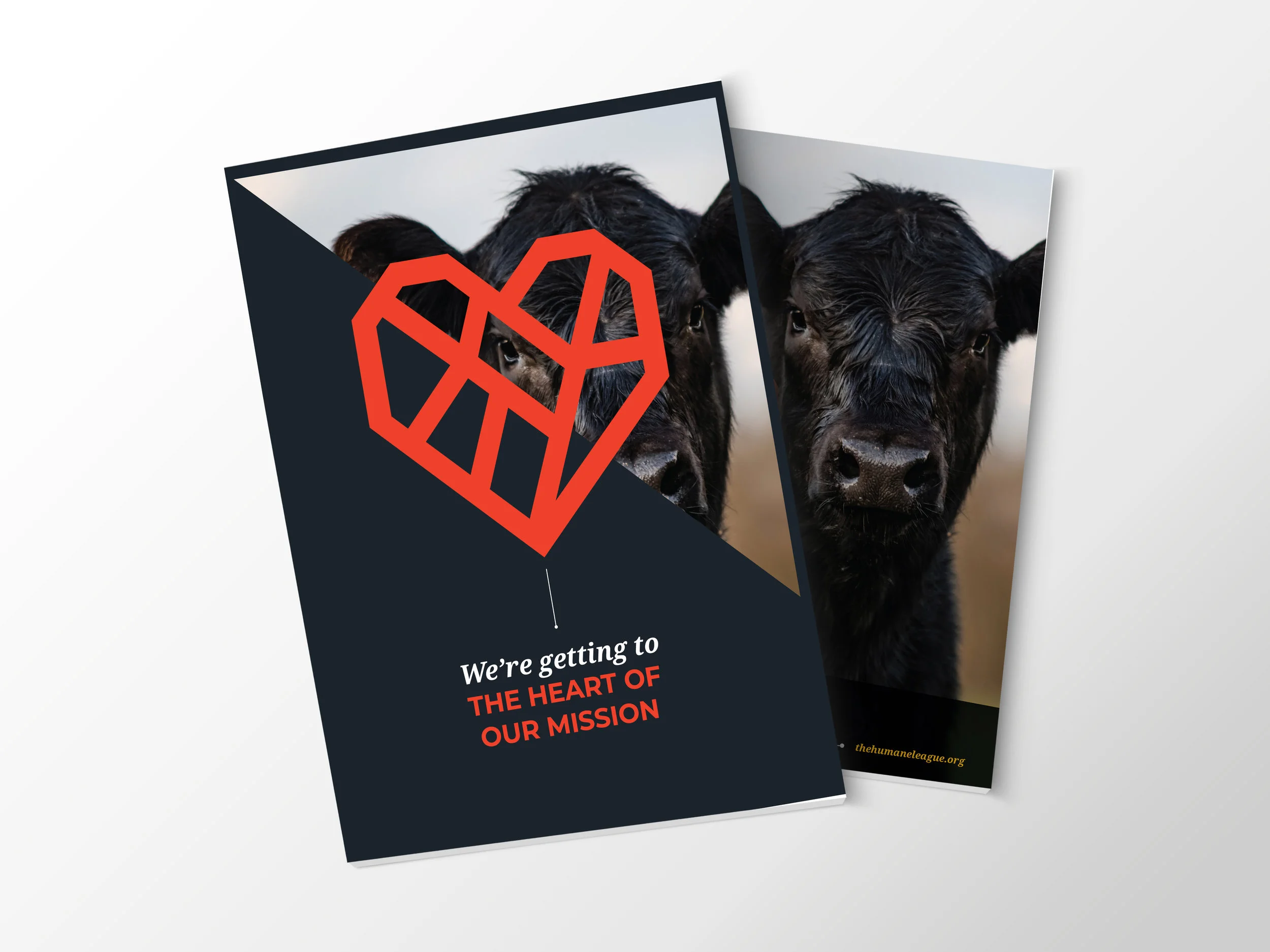 THL-IMPACT-REPORT-front with cover.jpg