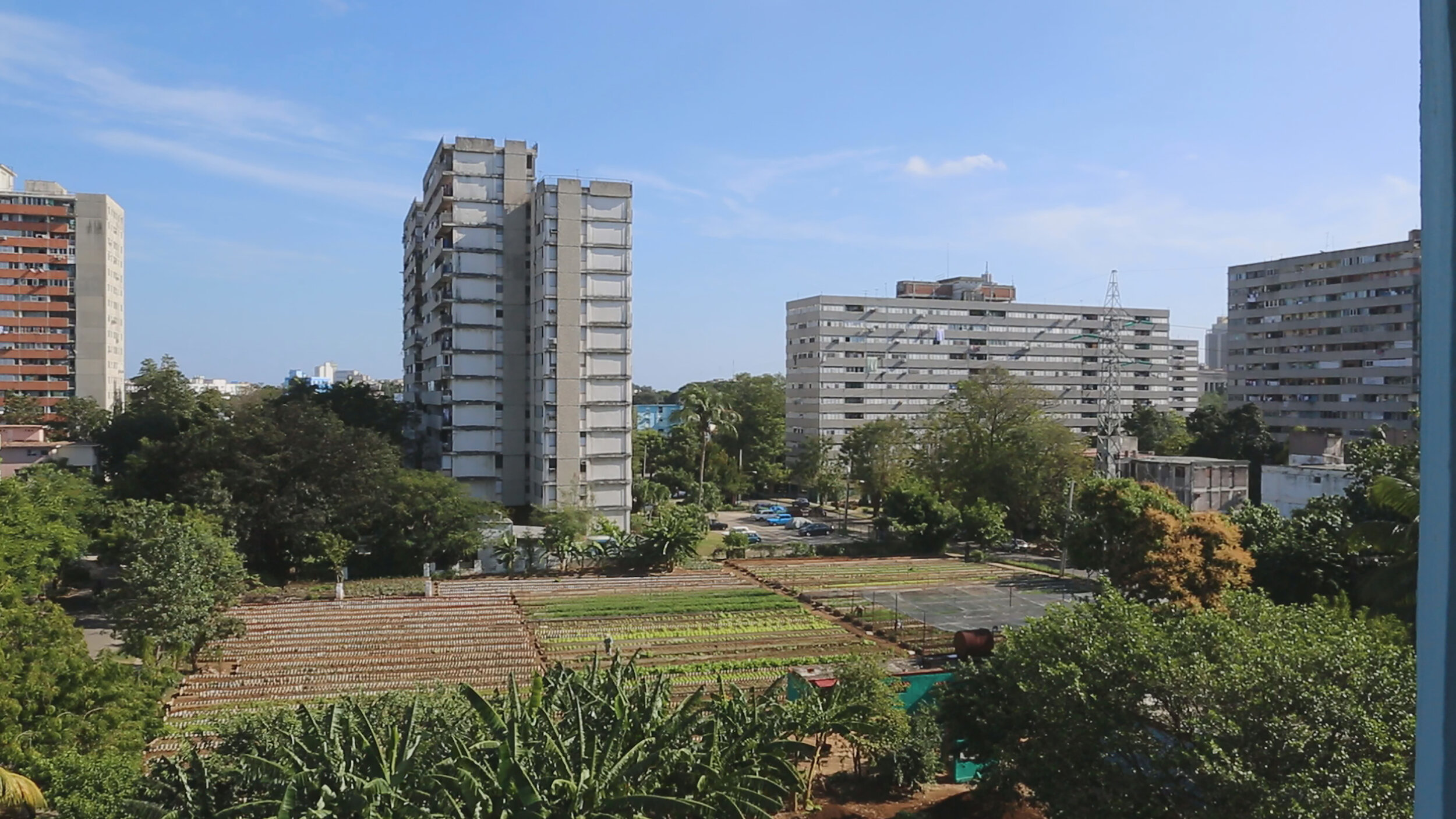 CUBA L ILE BIO - MEMENTO - Thomas DANDOIS - 9 - les fermes sont aussi installees au coeur des villes.jpg