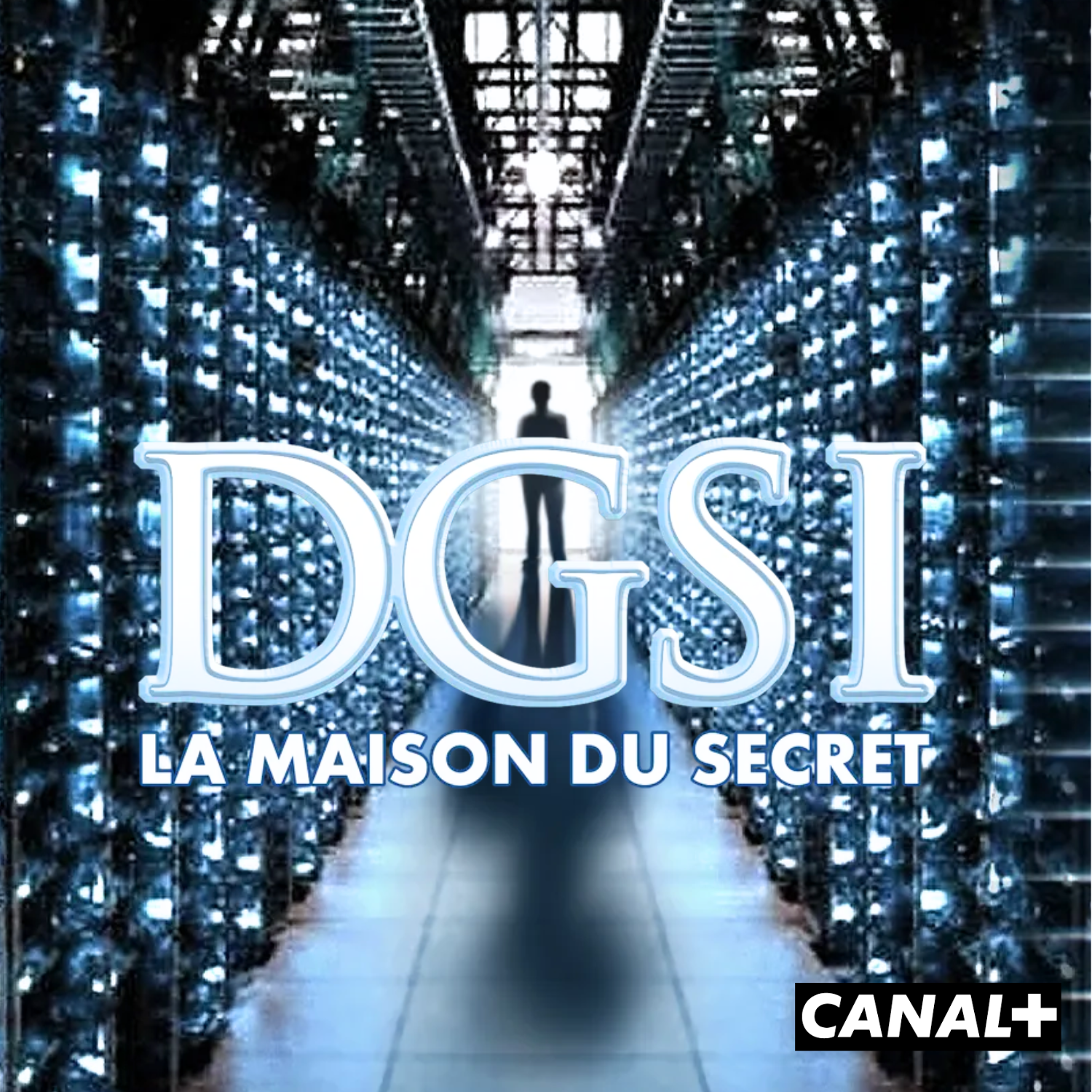DGSI (2).png