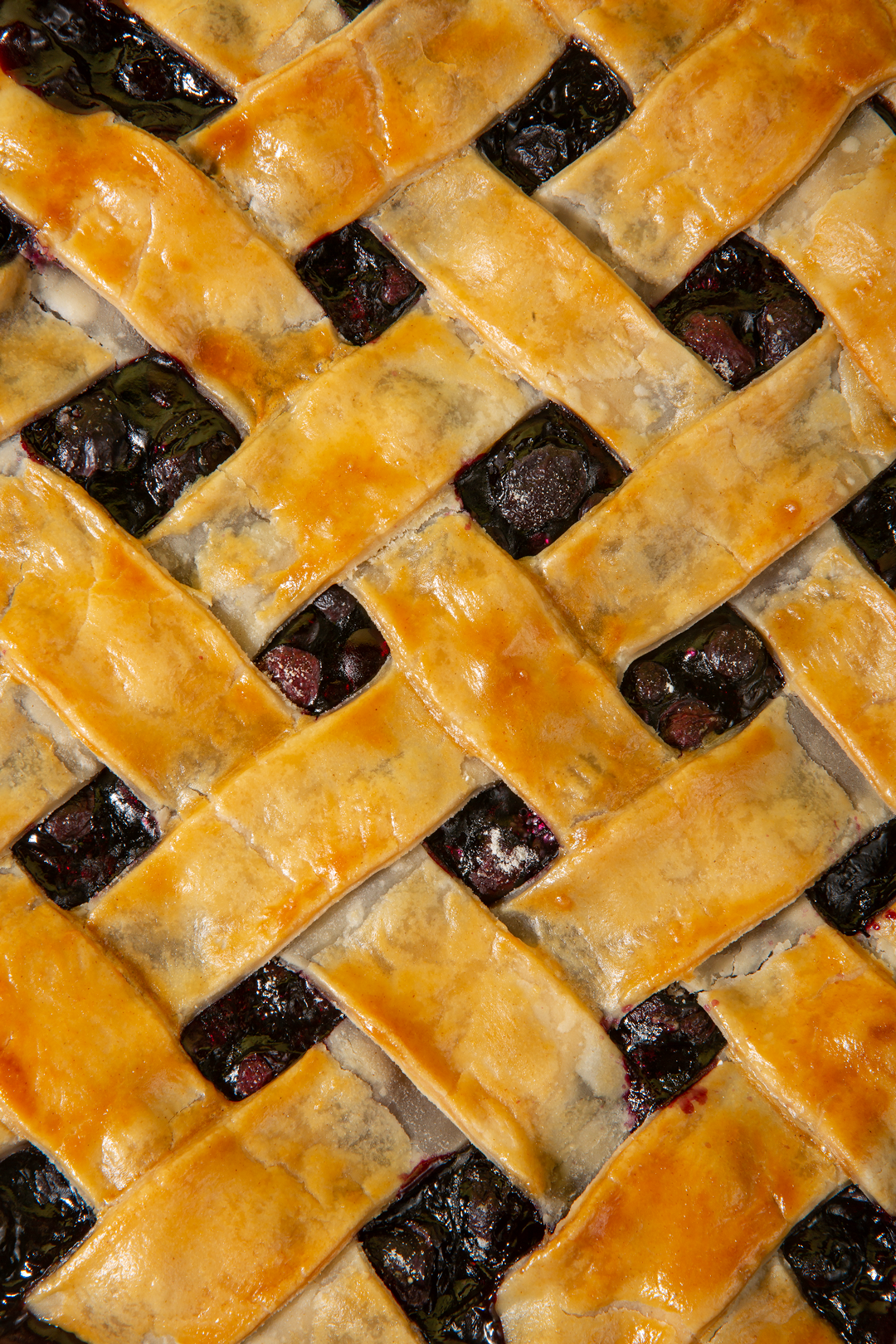 Blueberry-Pie_Close-Up (1).png