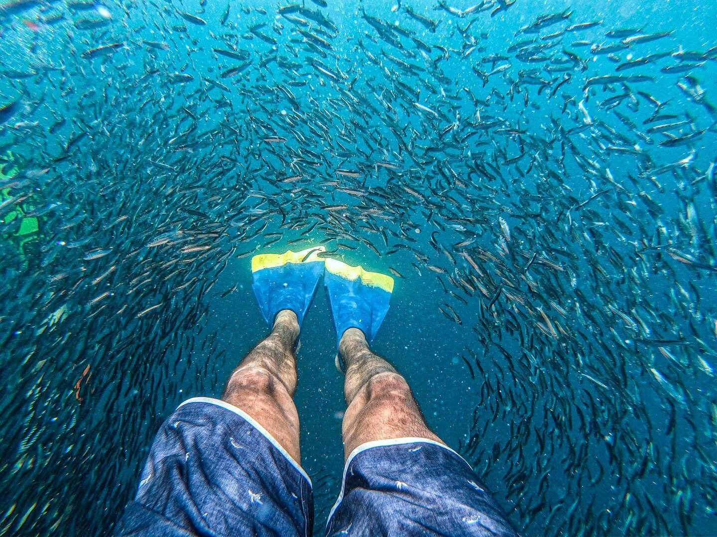 My version of Social Distancing
.
Hope everyone is staying safe and healthy with all that is happening out there
.
.
.
#covid_19 #socialdistancing #gopro @gopro @dafinhi #dafin @nixon #artoftheescape