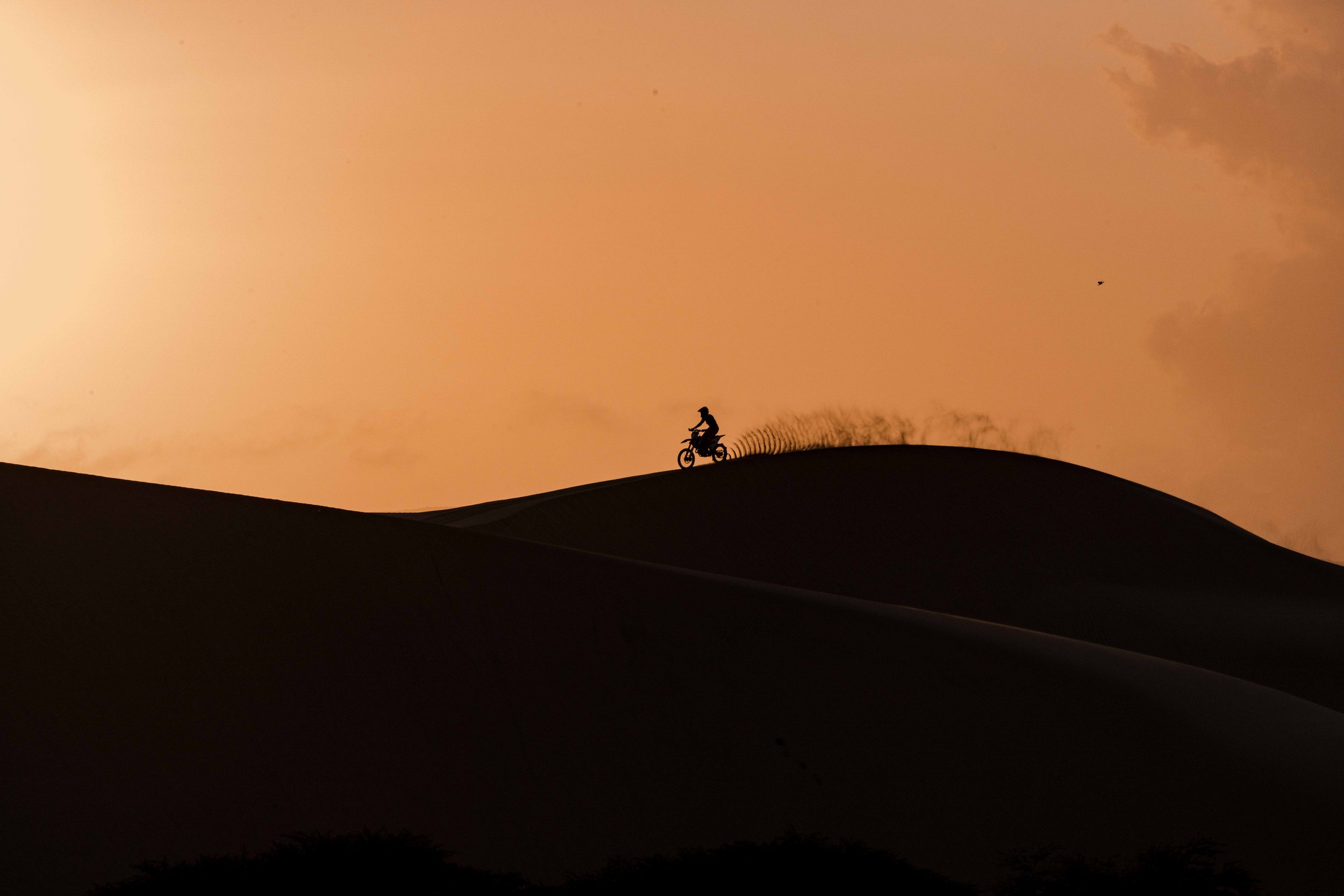 RodrigoUngaro-1103.jpg