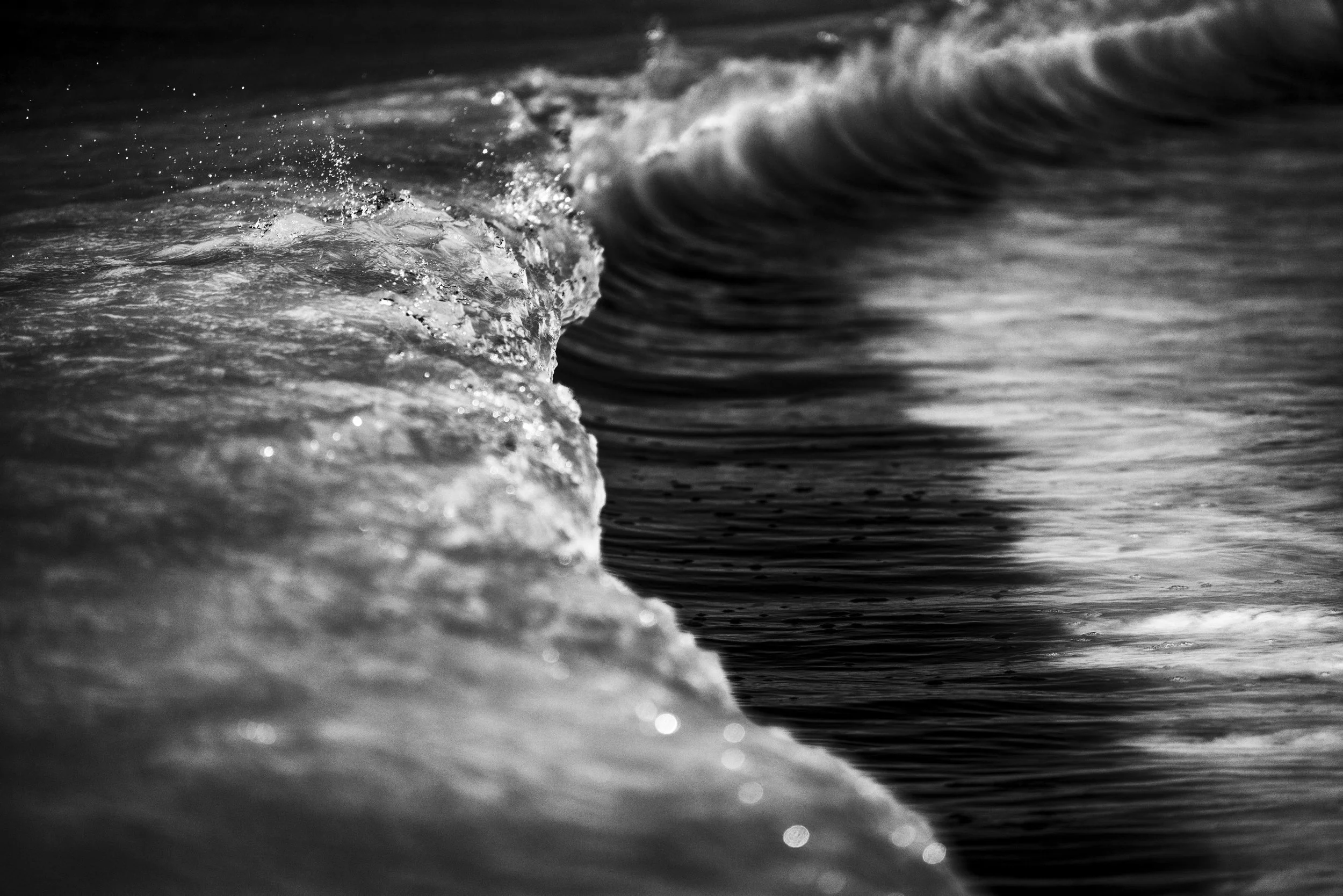 RodrigoUngaro_RodrigoUngaro__DSC5381-Edit.jpg