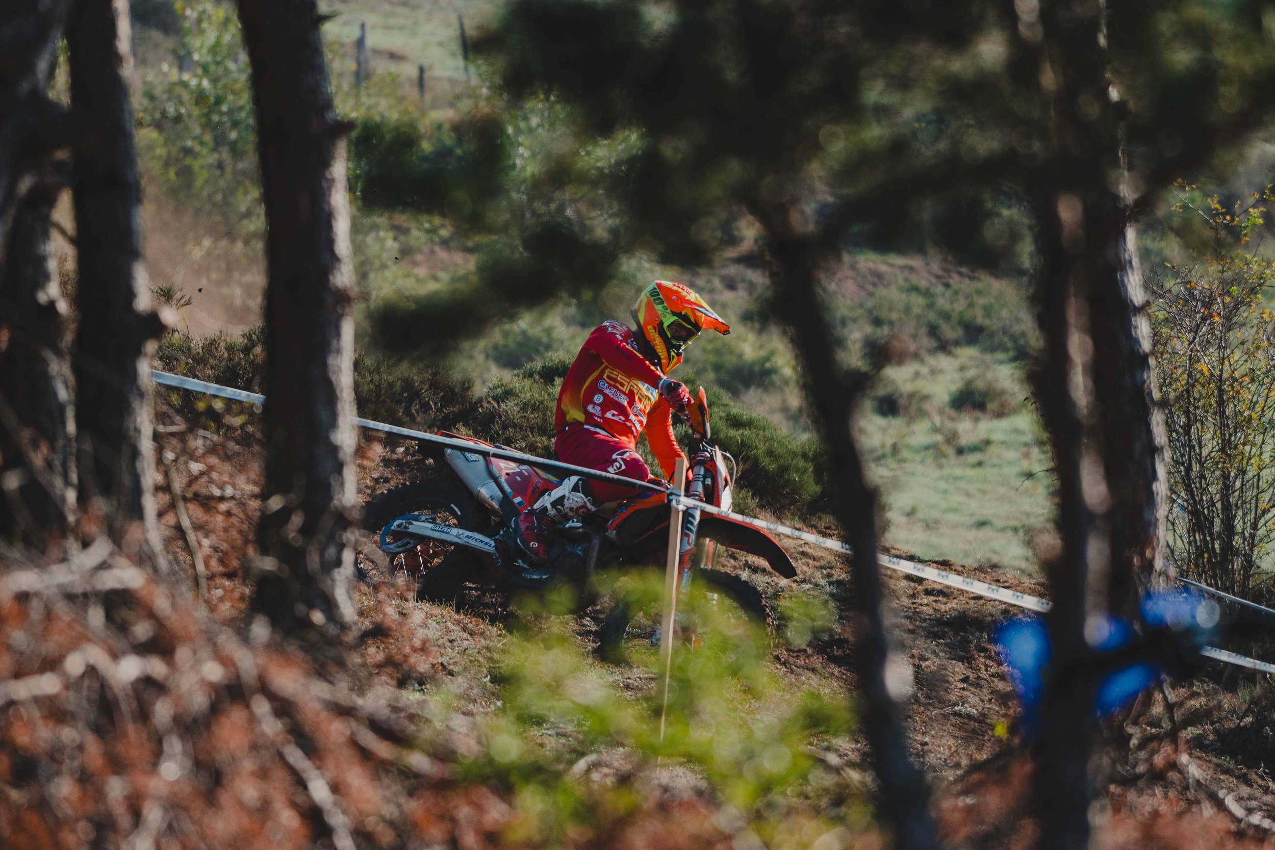 RodrigoUngaro-9593.jpg